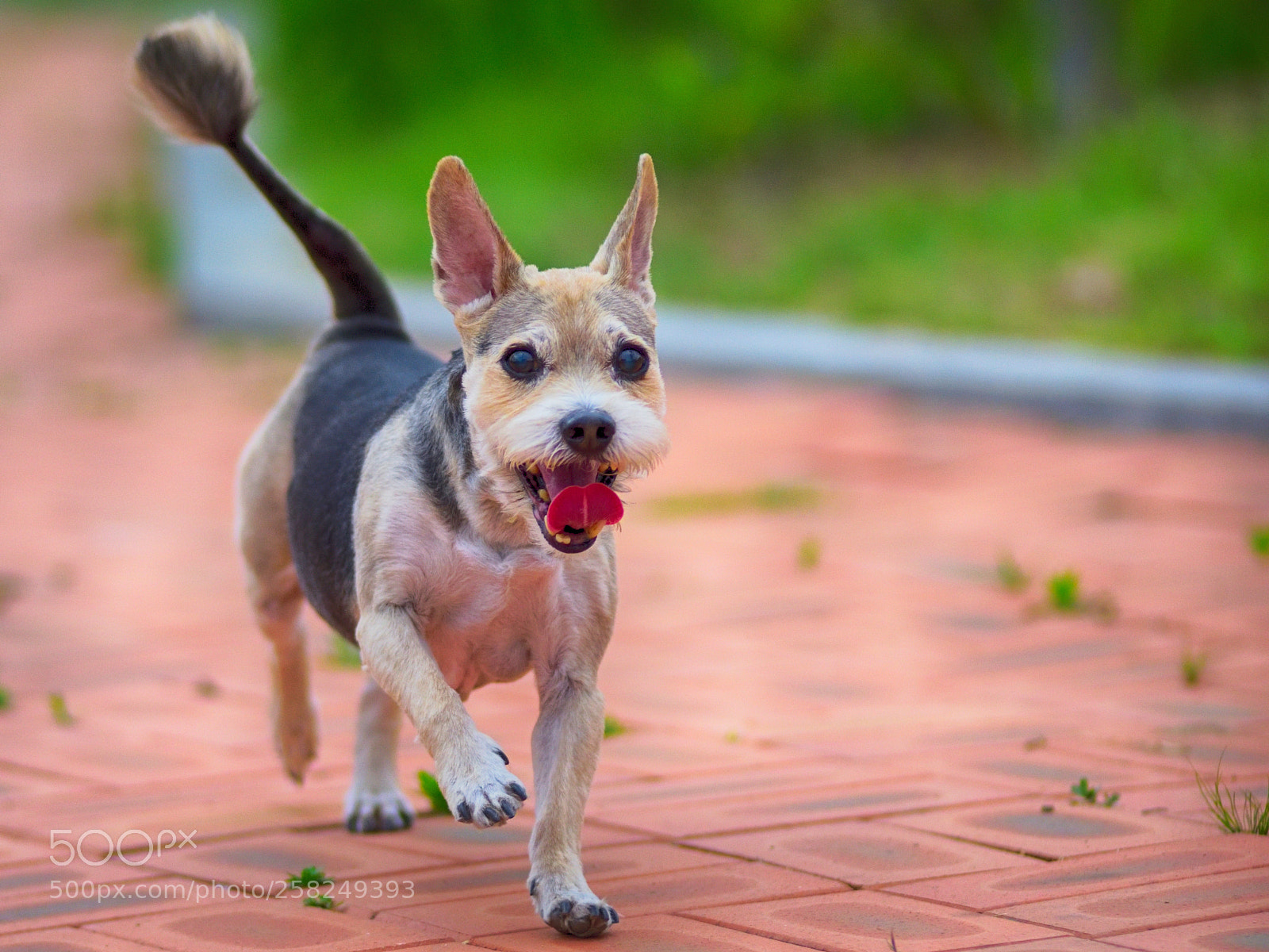 Nikon D750 sample photo. 20160606.jpg photography