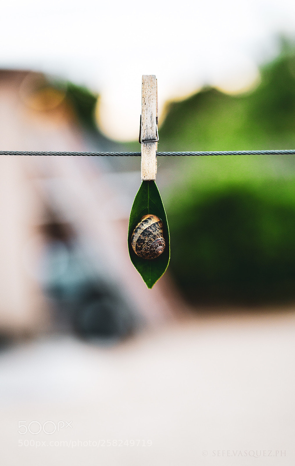 Sony a7R II sample photo. Untitled photography