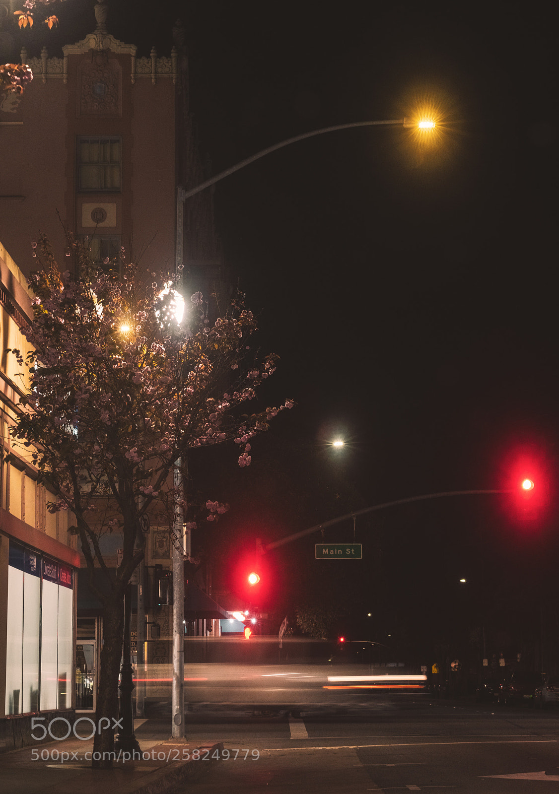 Sony a7R II sample photo. Untitled photography