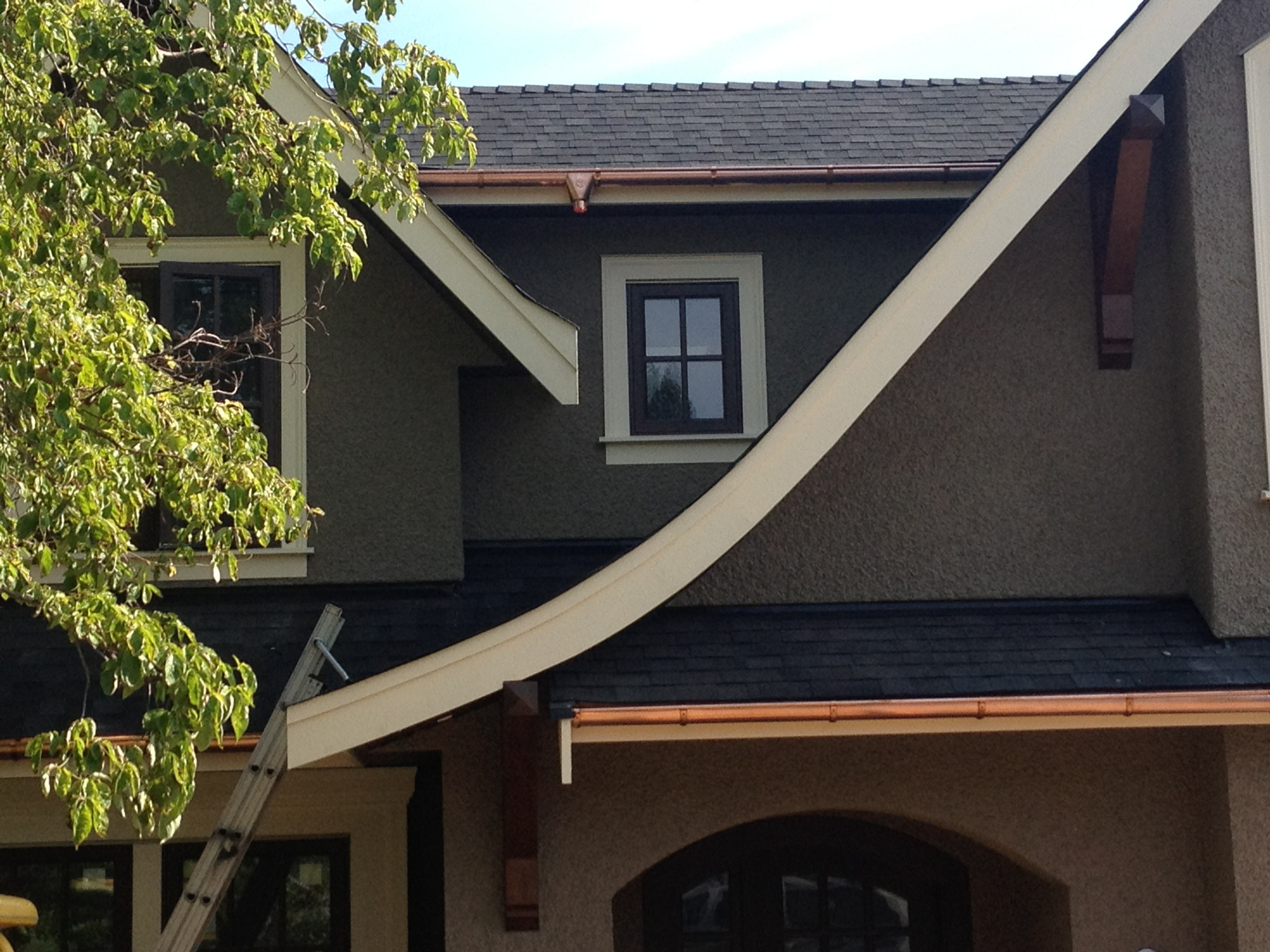 Roofing Services & Solutions
