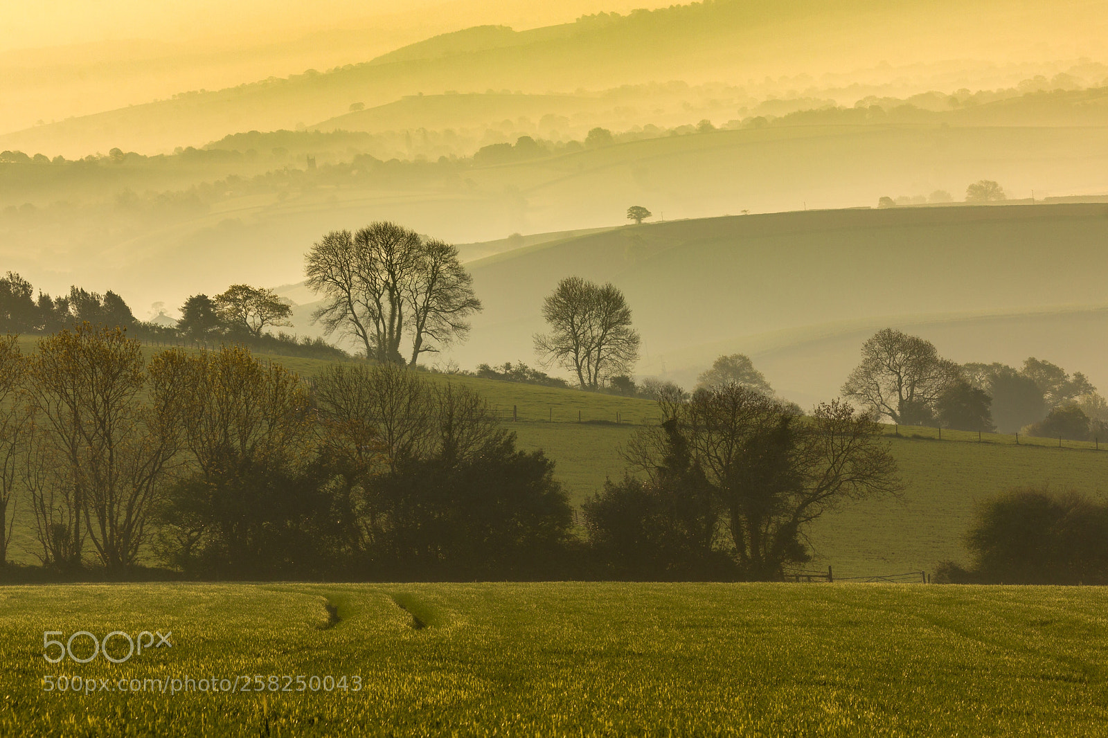 Canon EOS 70D sample photo. Misty morning photography