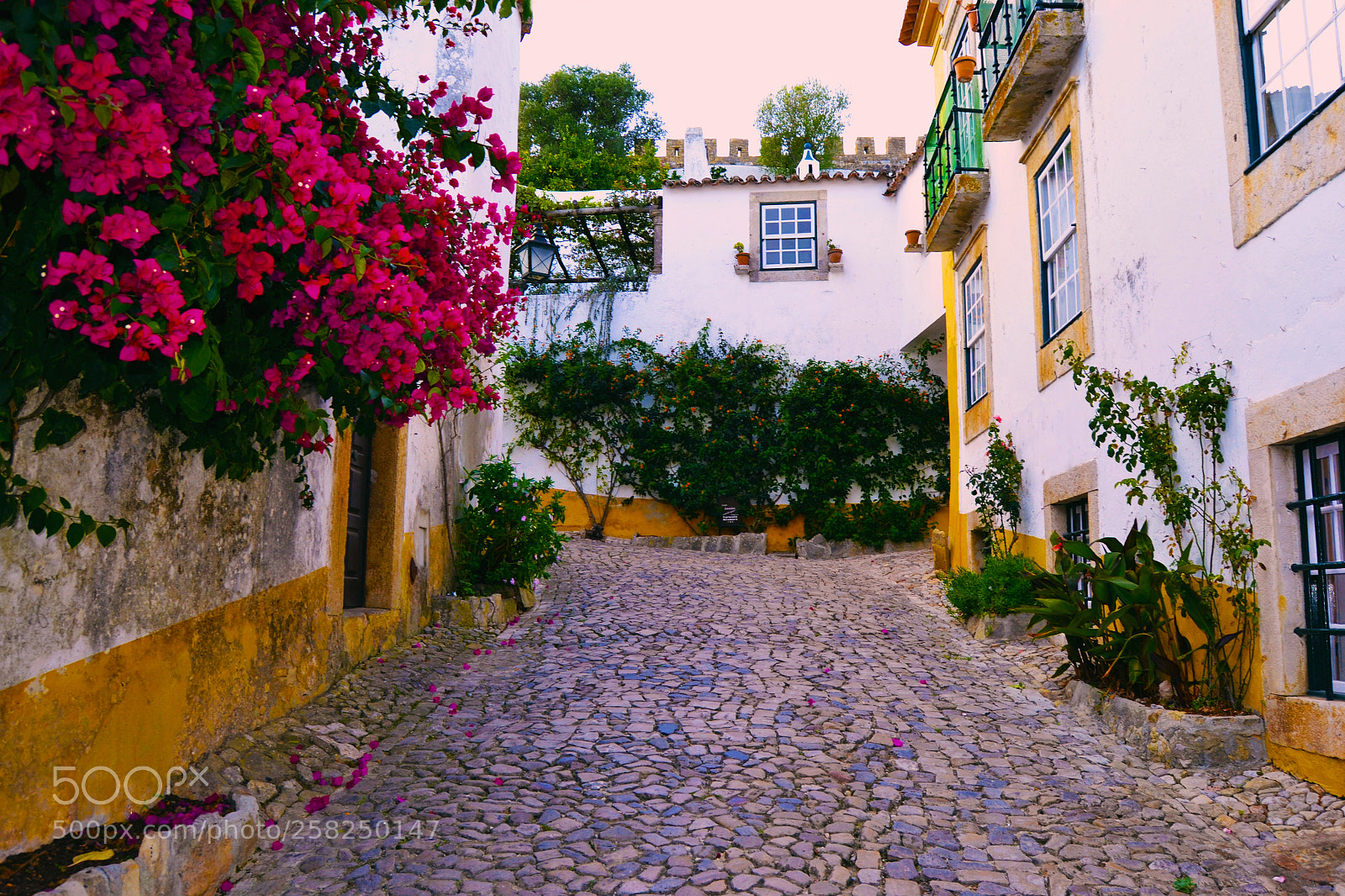Nikon D3100 sample photo. Obidos photography