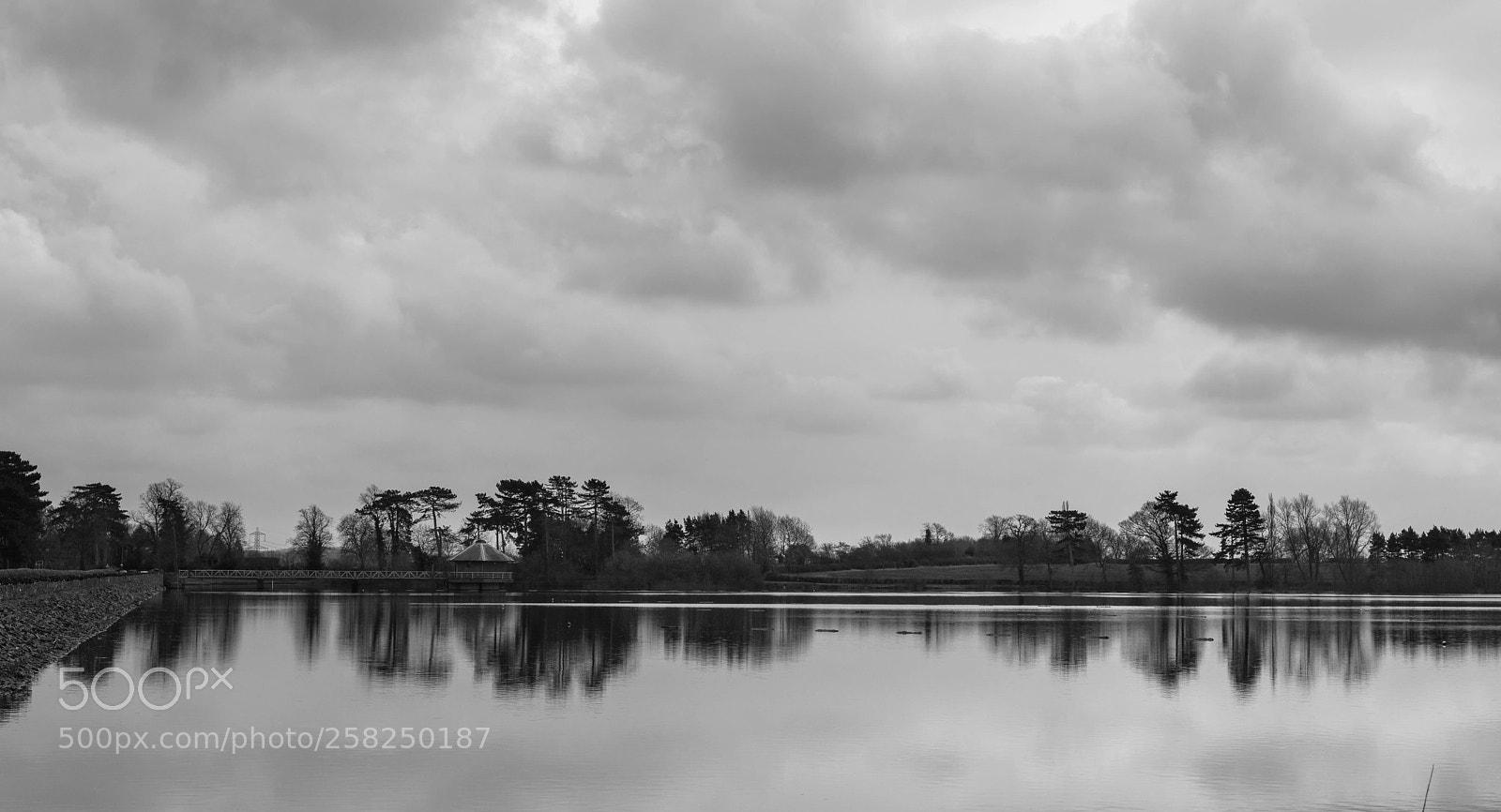 Nikon D810 sample photo. Untitled photography