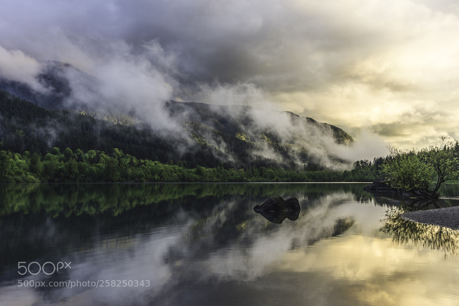 Nikon D7200 sample photo. Moody pacific northwest photography