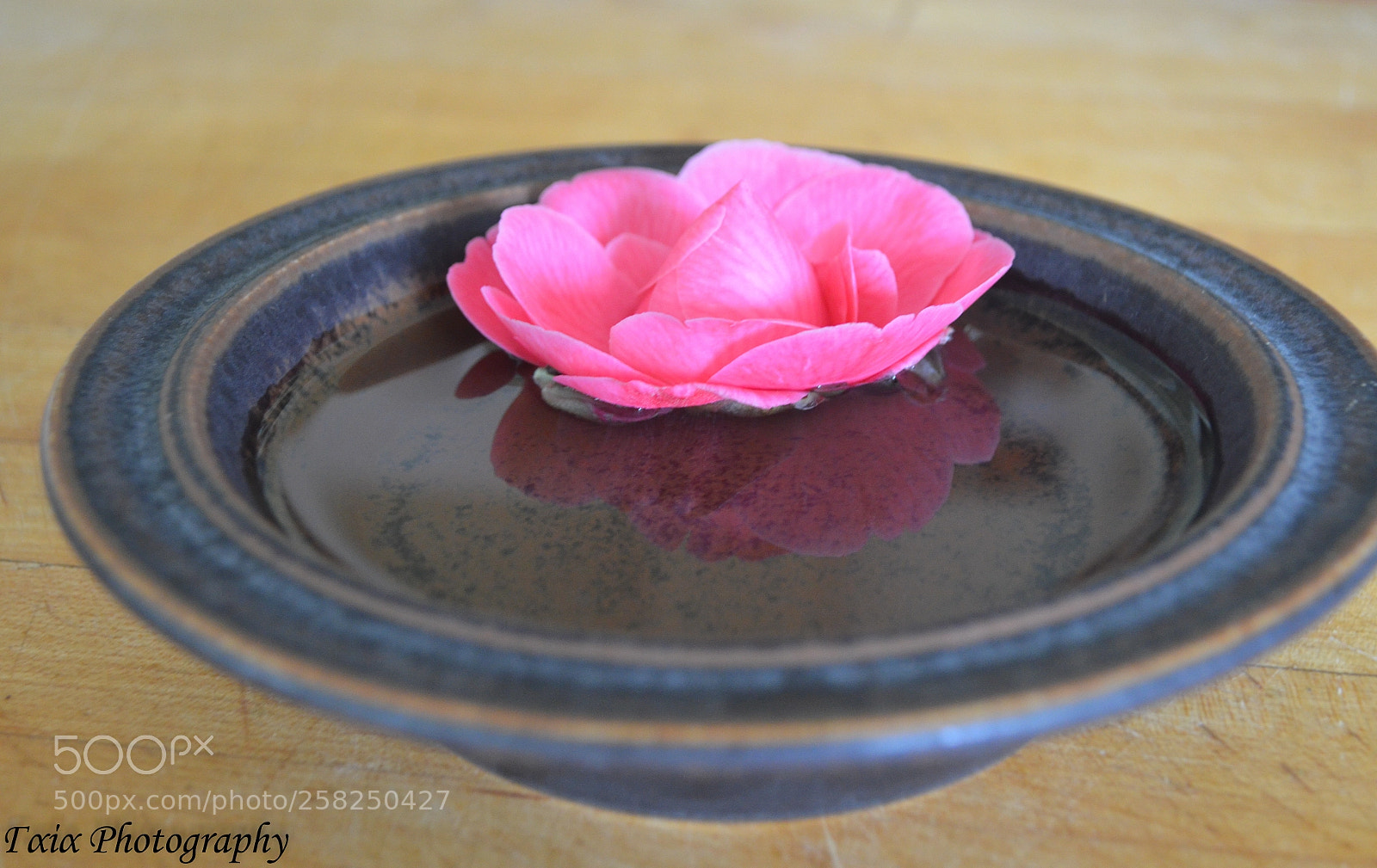 Nikon D5100 sample photo. Untitled photography