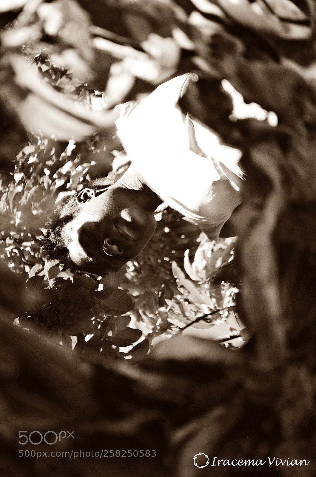 Nikon D5100 sample photo. Untitled photography