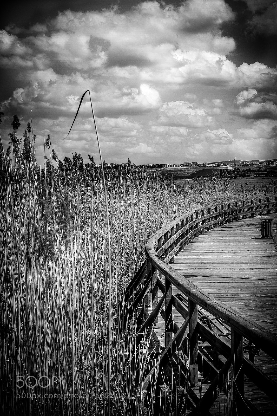 Canon EOS 550D (EOS Rebel T2i / EOS Kiss X4) sample photo. G lbasi lake b photography