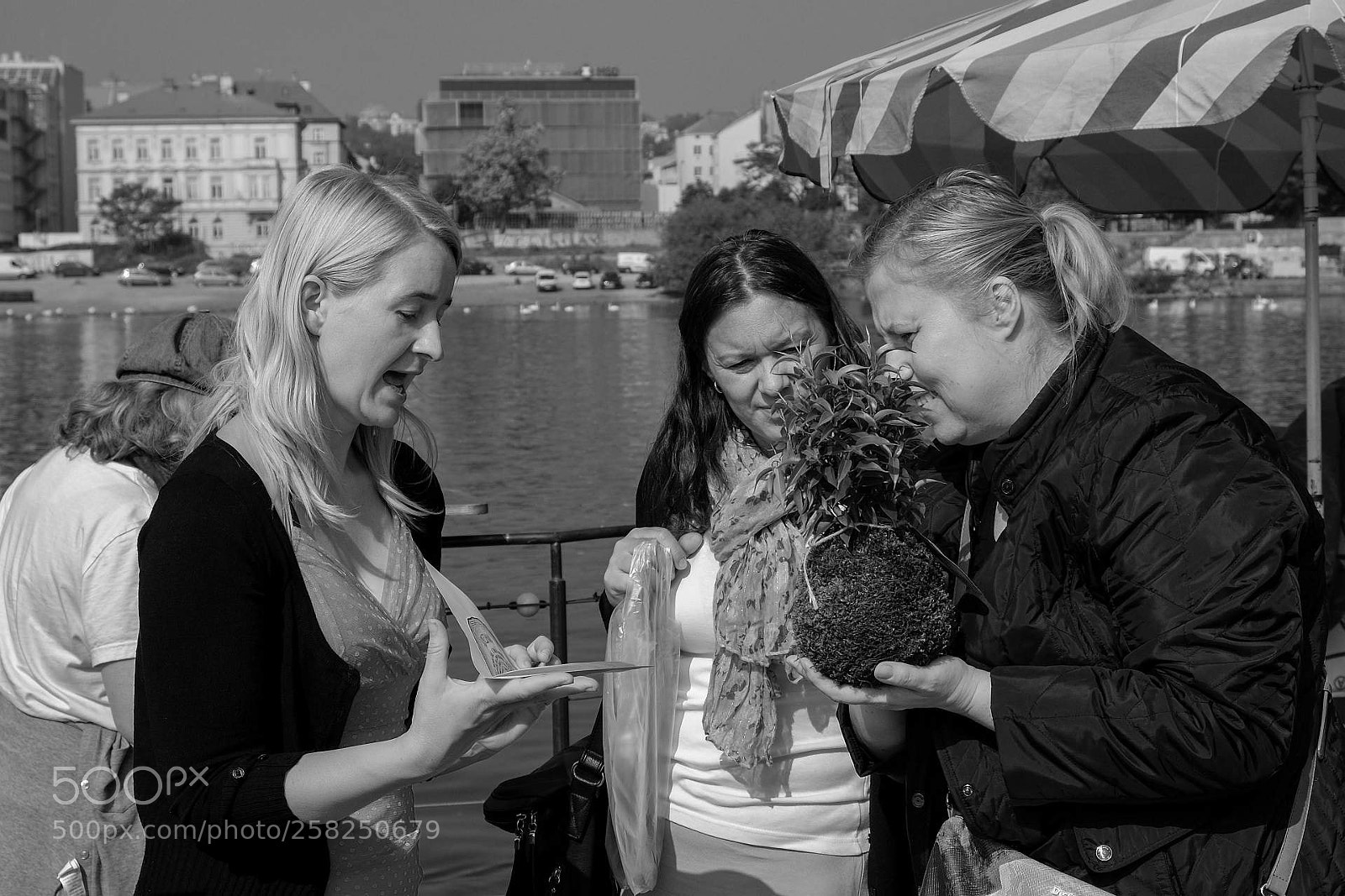 Fujifilm X-E2 sample photo. The art of selling photography