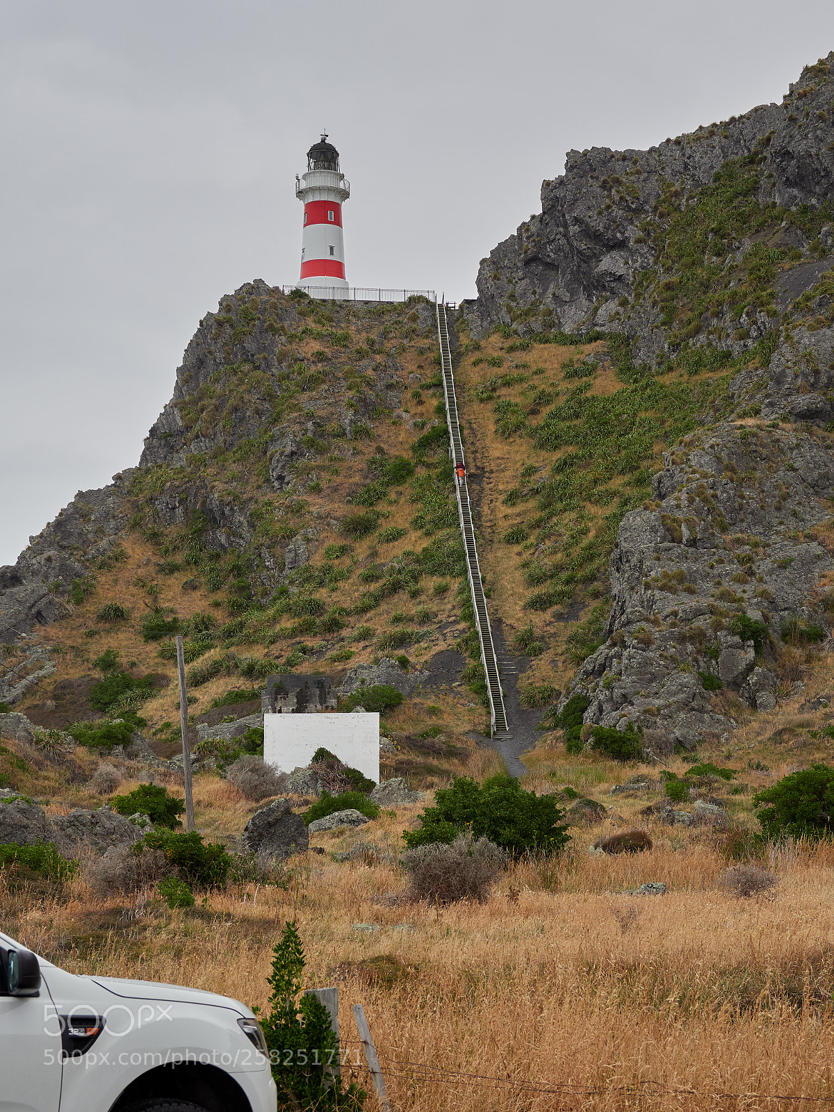 Olympus OM-D E-M1 Mark II sample photo. Cape palliser (1) photography