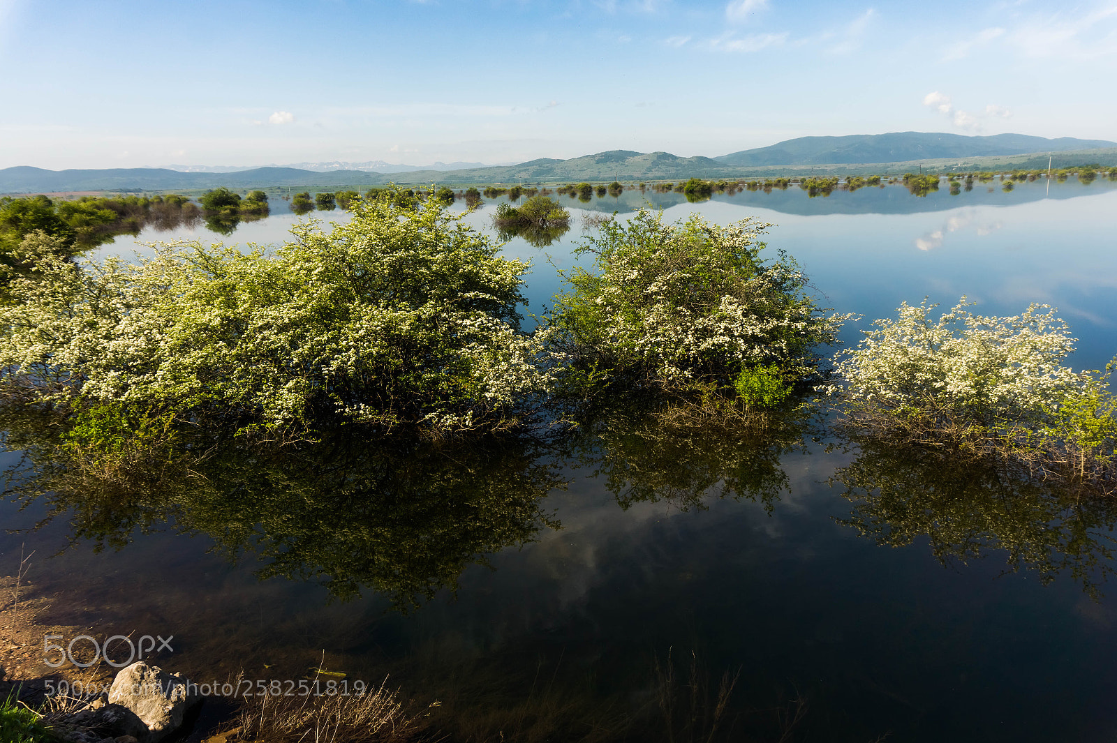 Sony Alpha a5000 (ILCE 5000) sample photo. View of lake. photography