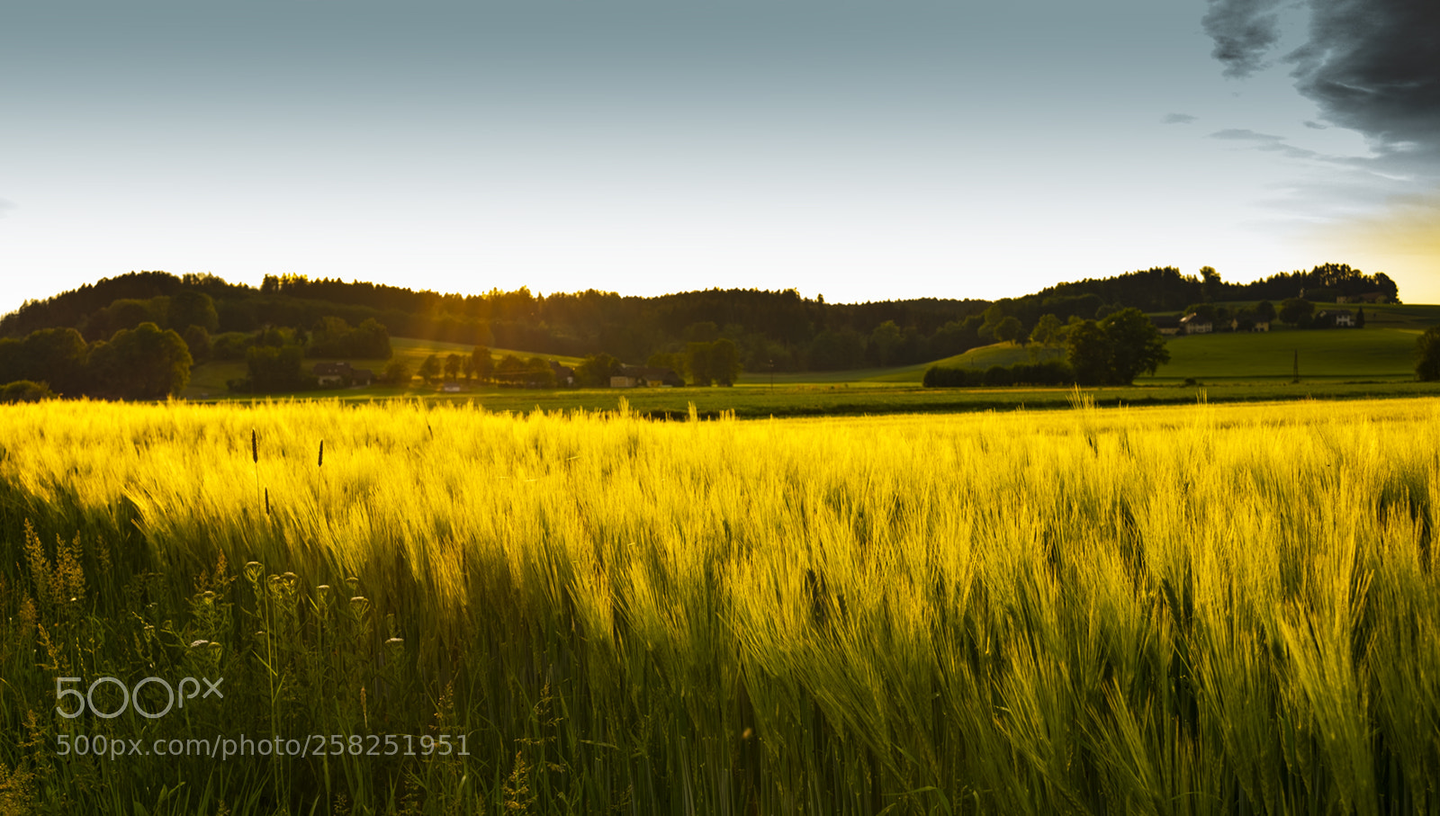 Fujifilm X-T1 sample photo. Nach dem regen photography