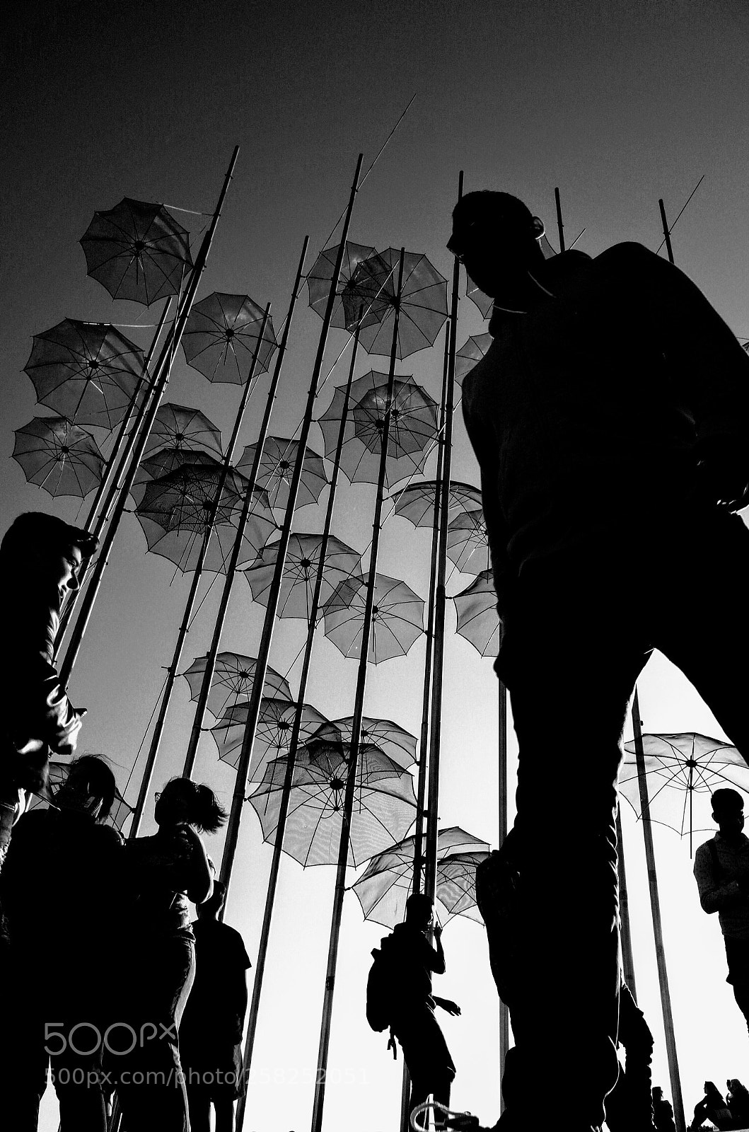 Ricoh GR II sample photo. Untitled photography