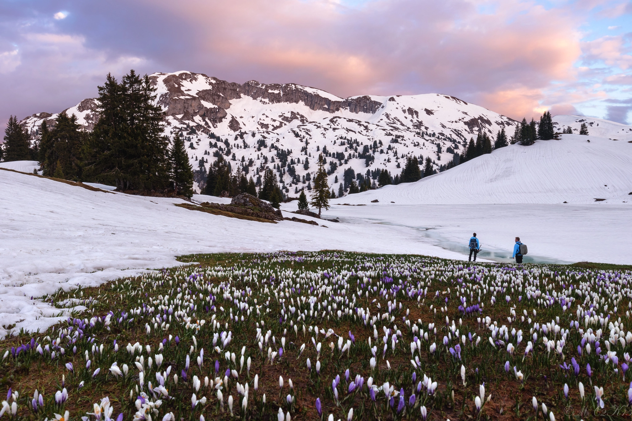 Canon EOS M6 sample photo. Spring in the alps ii photography