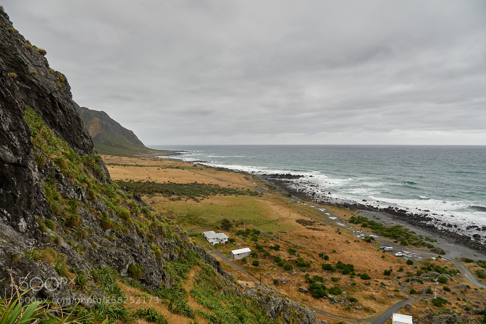 Olympus OM-D E-M1 Mark II sample photo. Cape palliser (2) photography