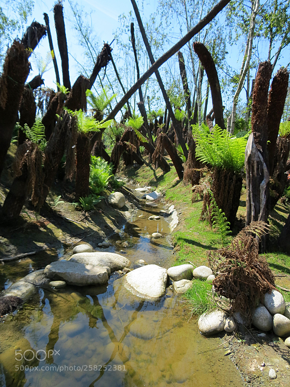 Canon PowerShot SX40 HS sample photo. Pairi daiza photography