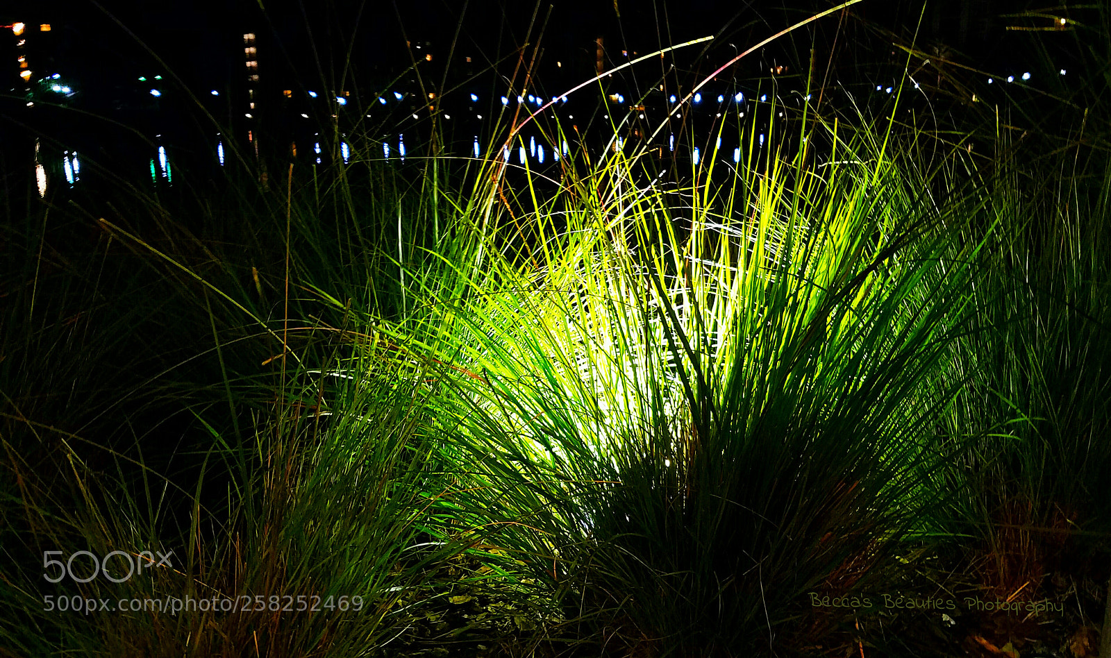 Samsung Galaxy S7 sample photo. Untitled photography