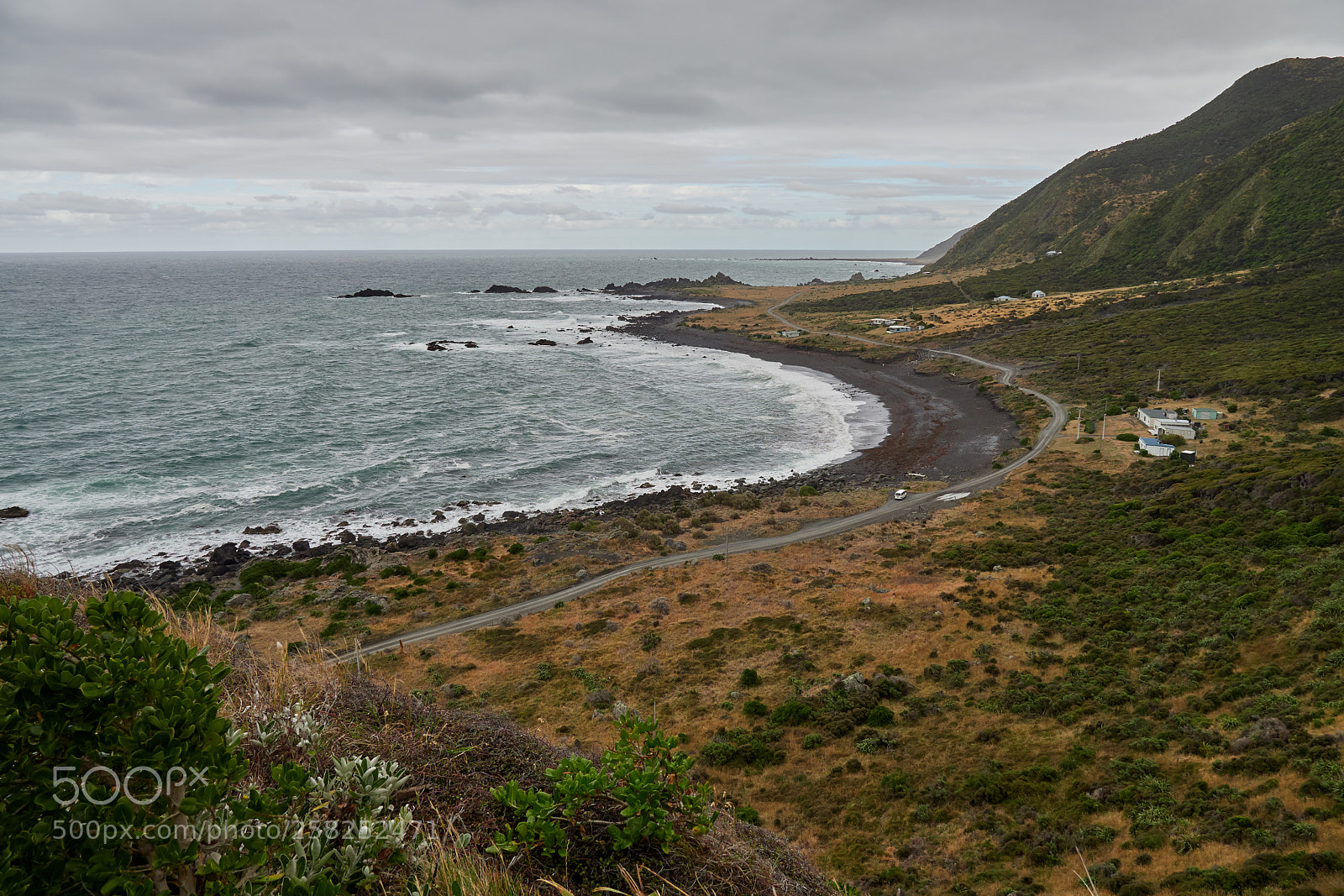 Olympus OM-D E-M1 Mark II sample photo. Cape palliser (3) photography