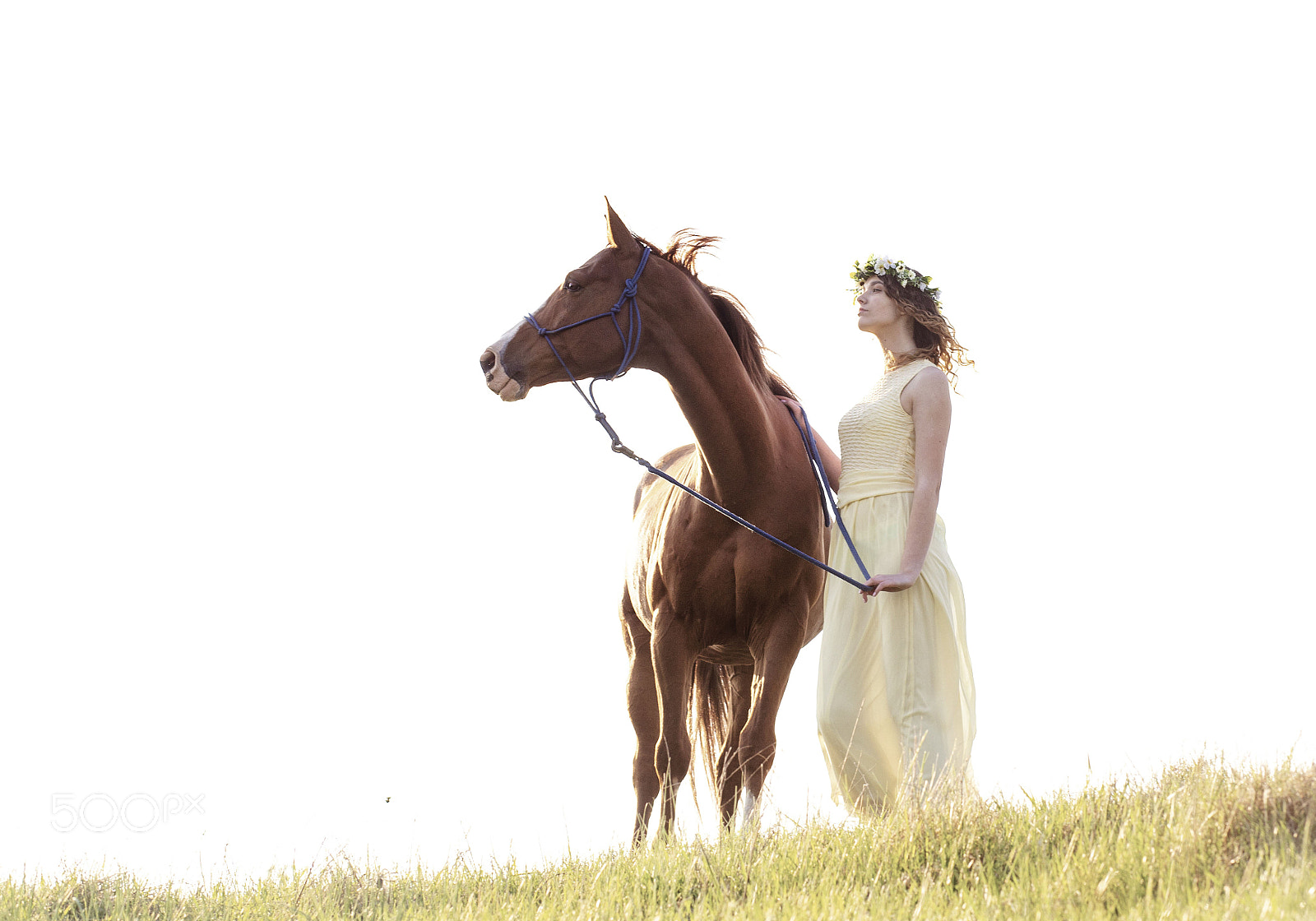 Canon EOS 6D sample photo. 21.jpg photography
