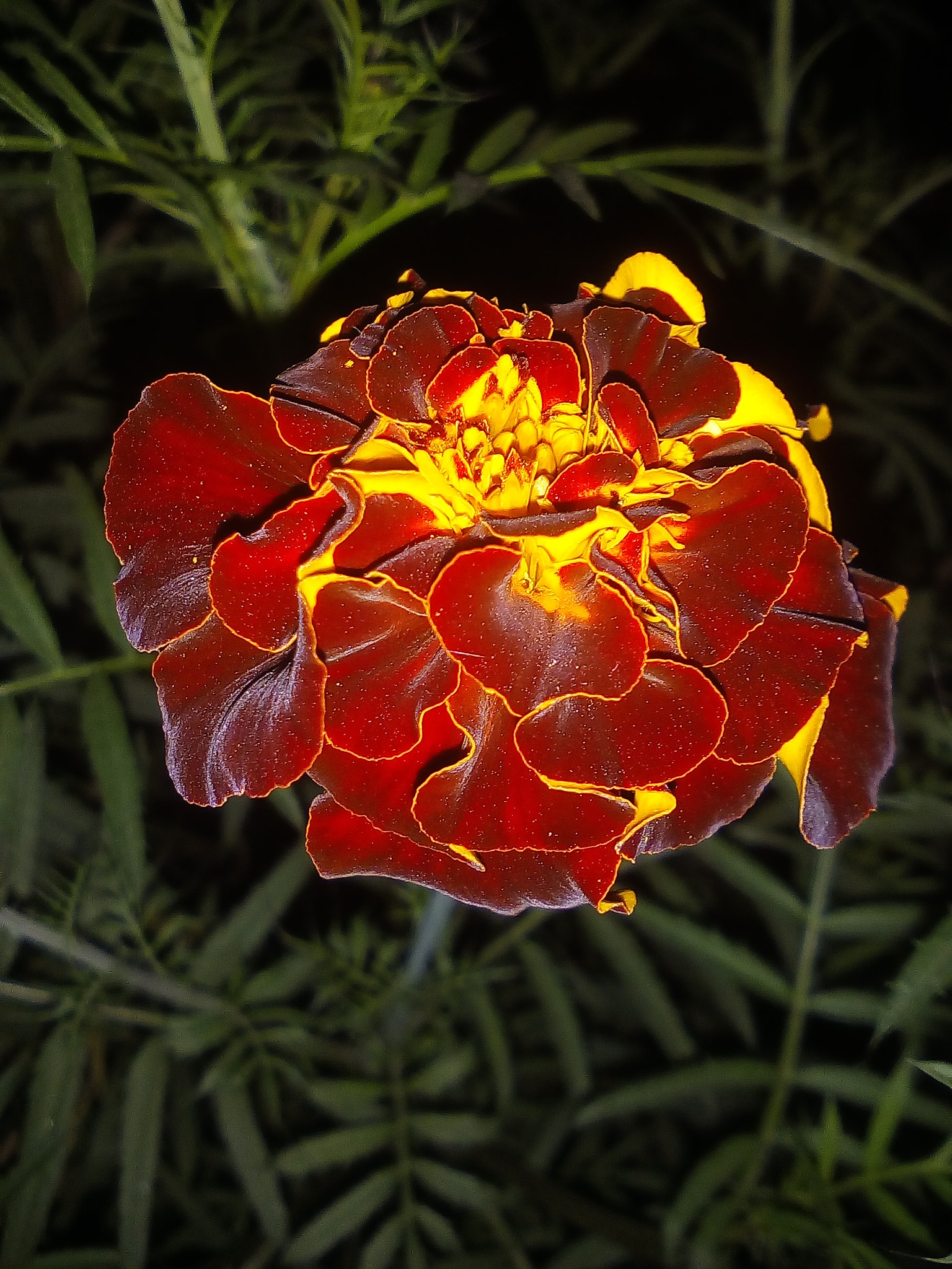 GIONEE P5 mini sample photo
