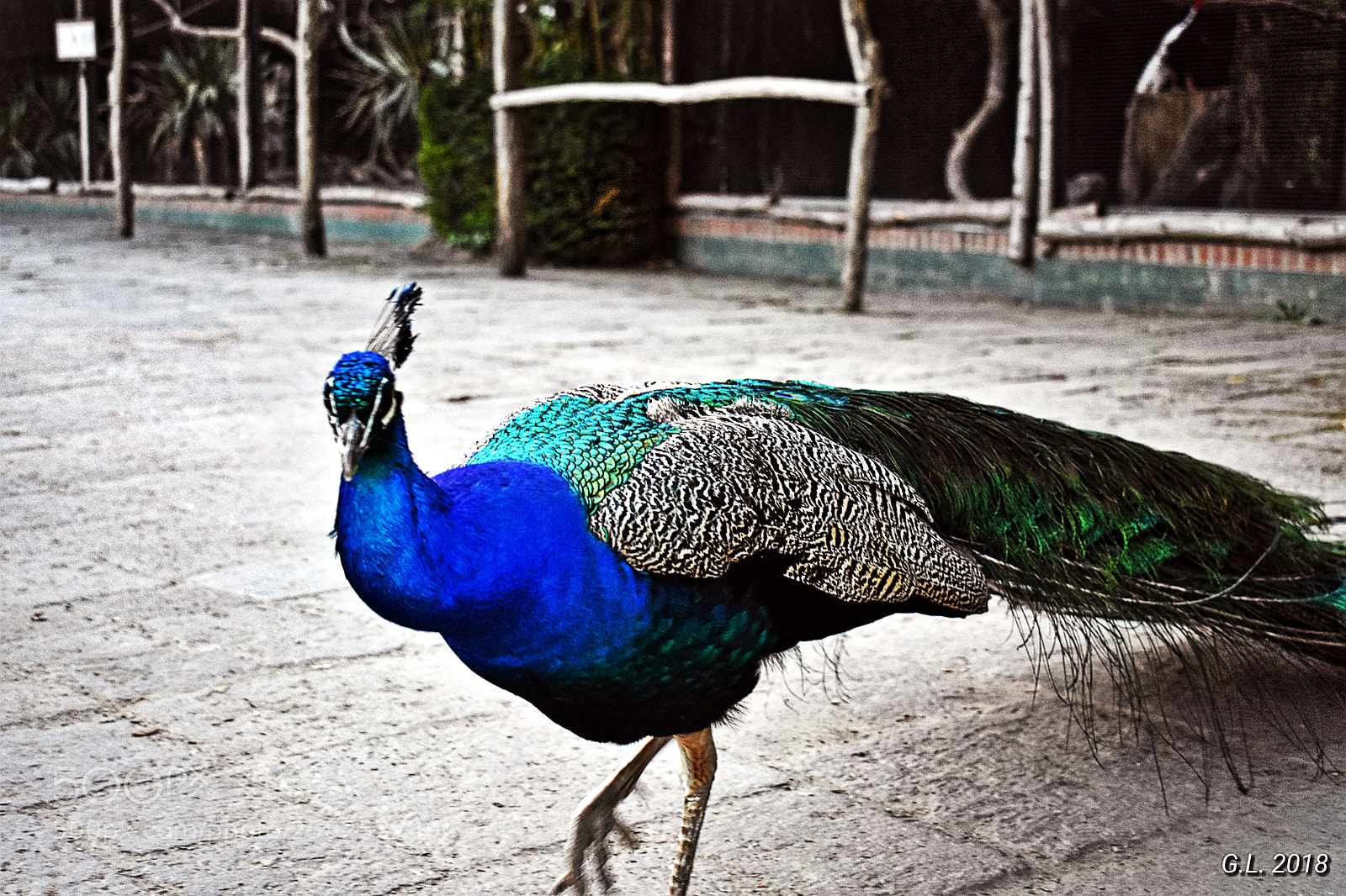 Nikon D3400 sample photo. Untitled photography