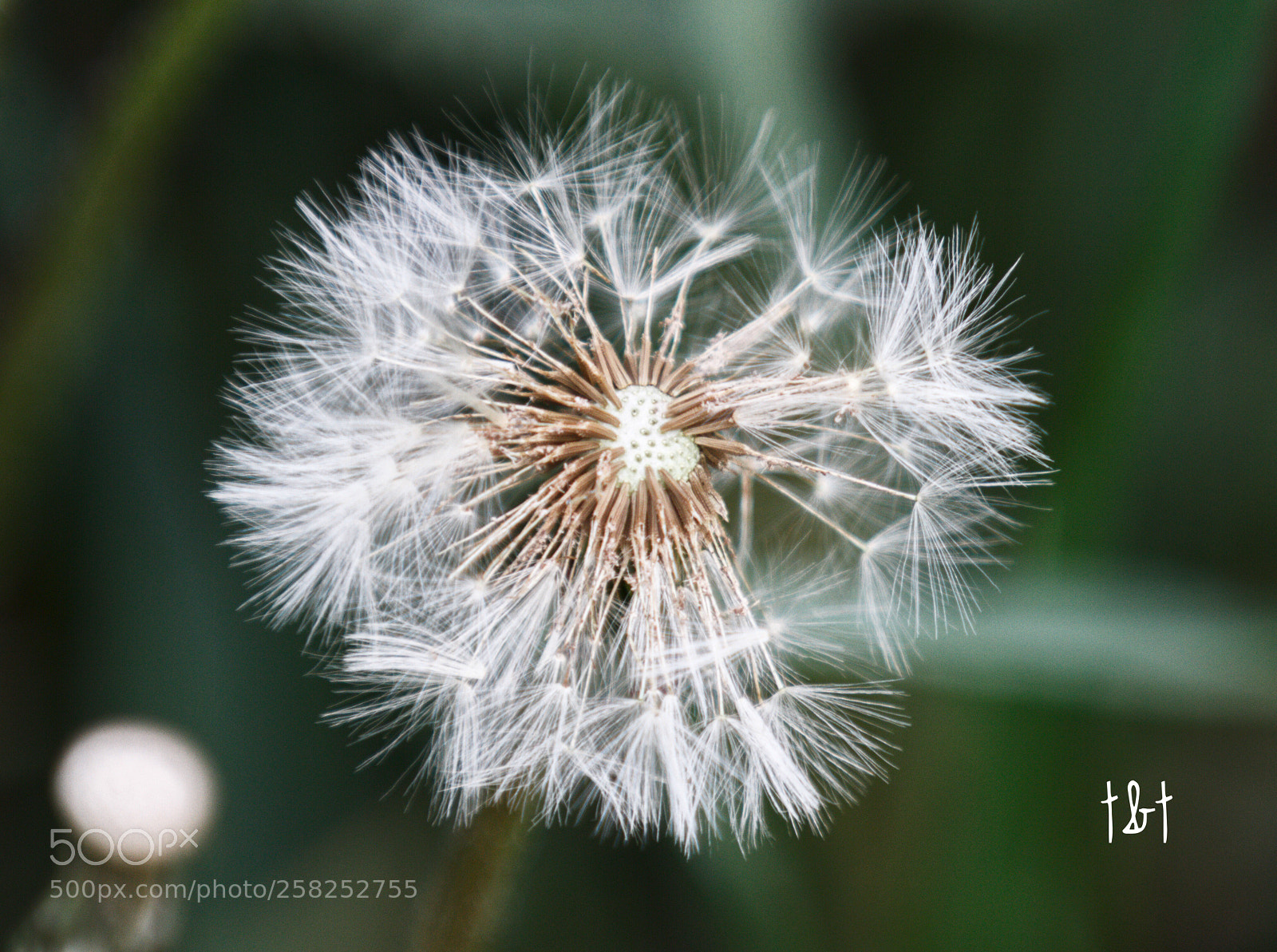 Canon EOS 7D sample photo. Untitled photography