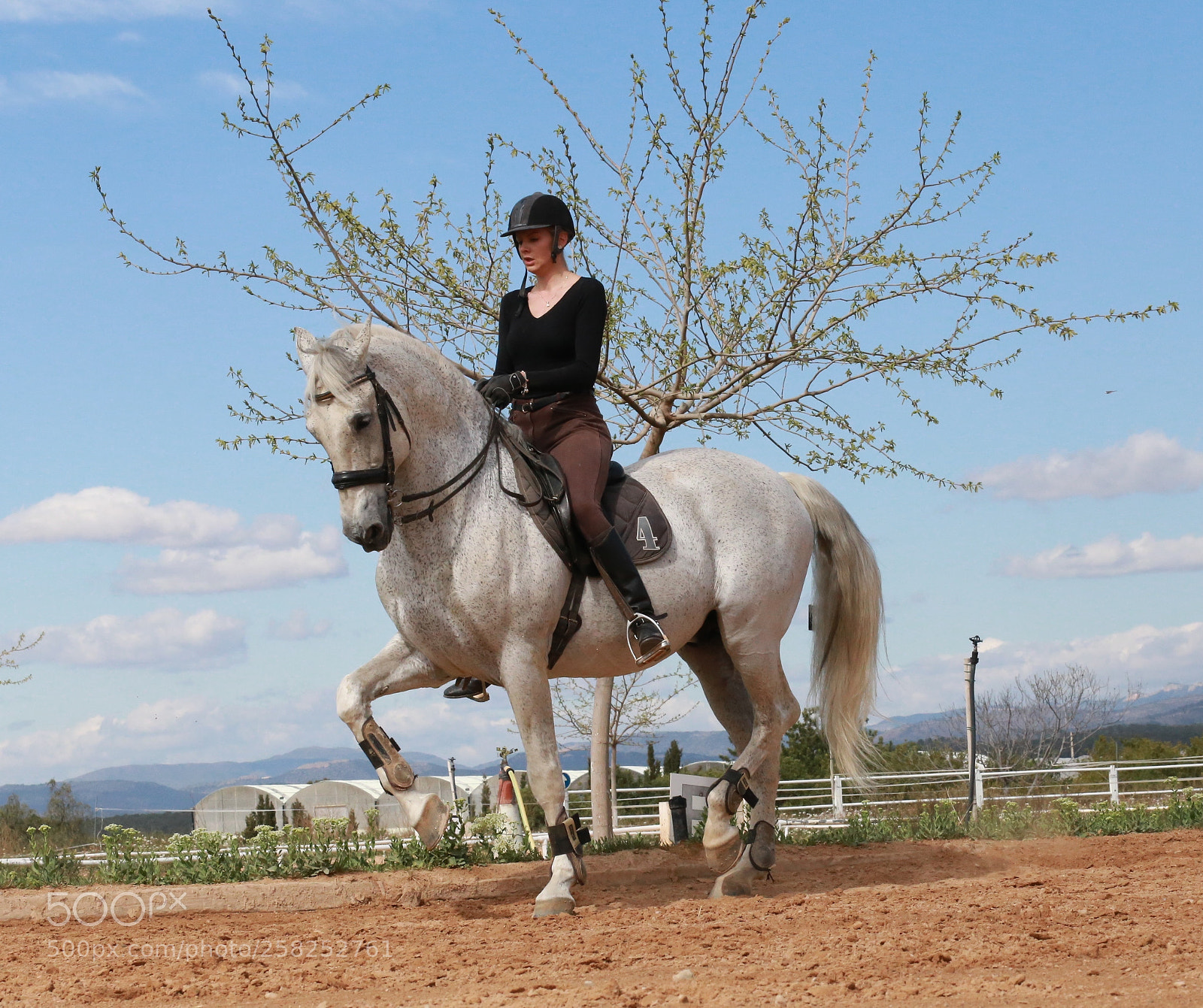 Canon EOS 6D sample photo. Img photography