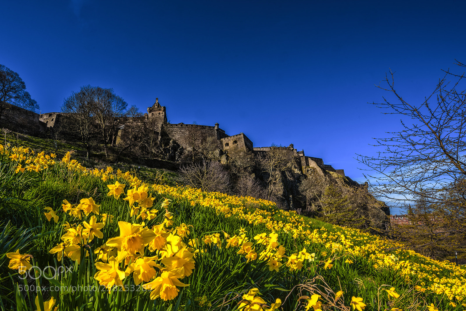 Nikon D750 sample photo. Edinburgh castle photography