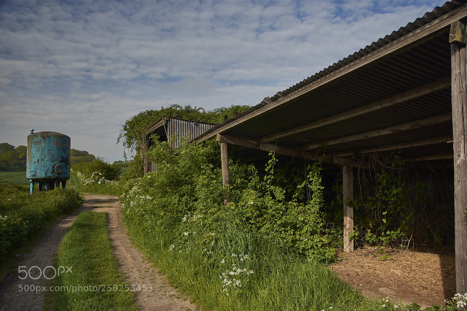 Nikon D7200 sample photo. Abandoned countryside photography