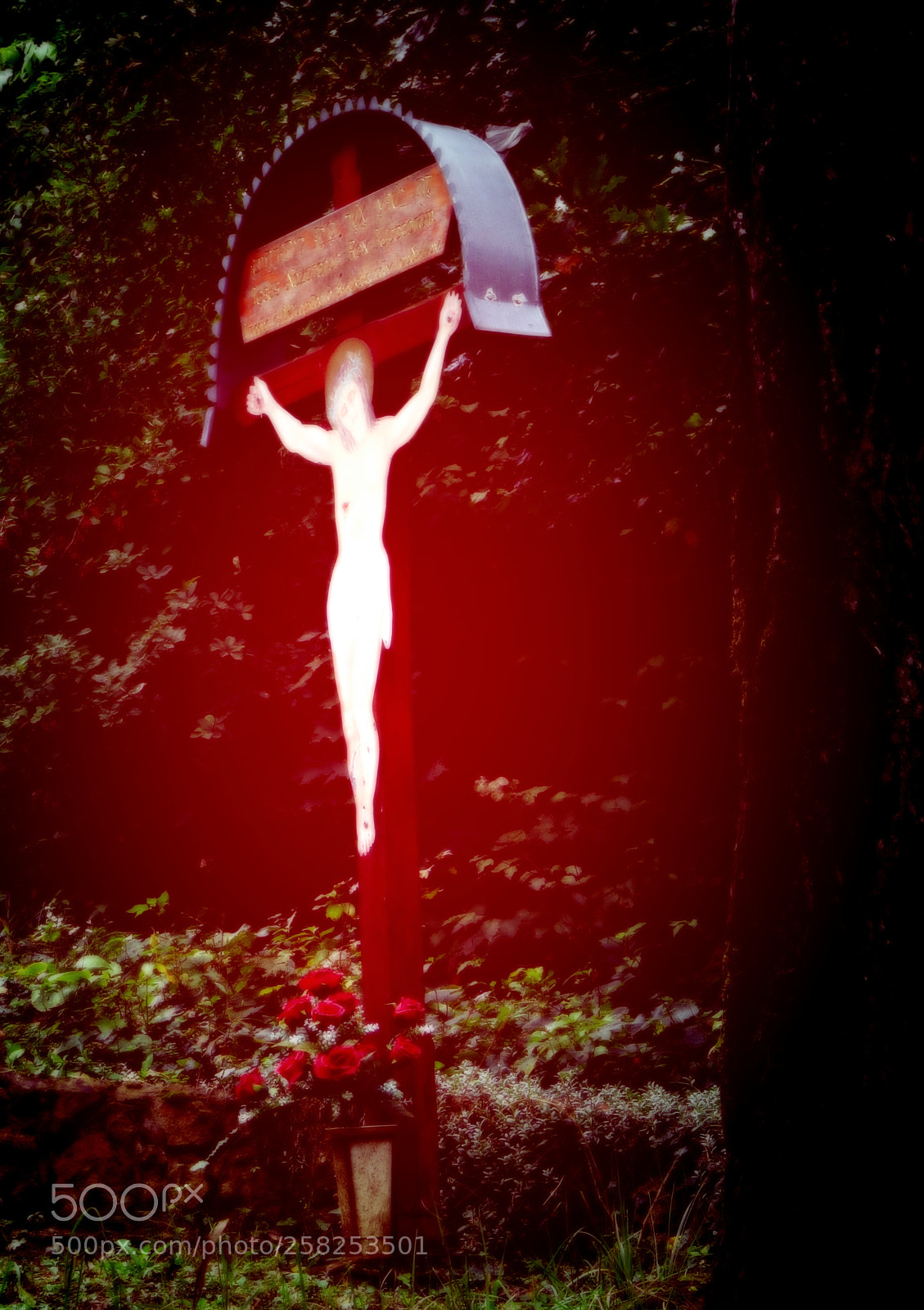 Canon PowerShot SX50 HS sample photo. His holy blood photography