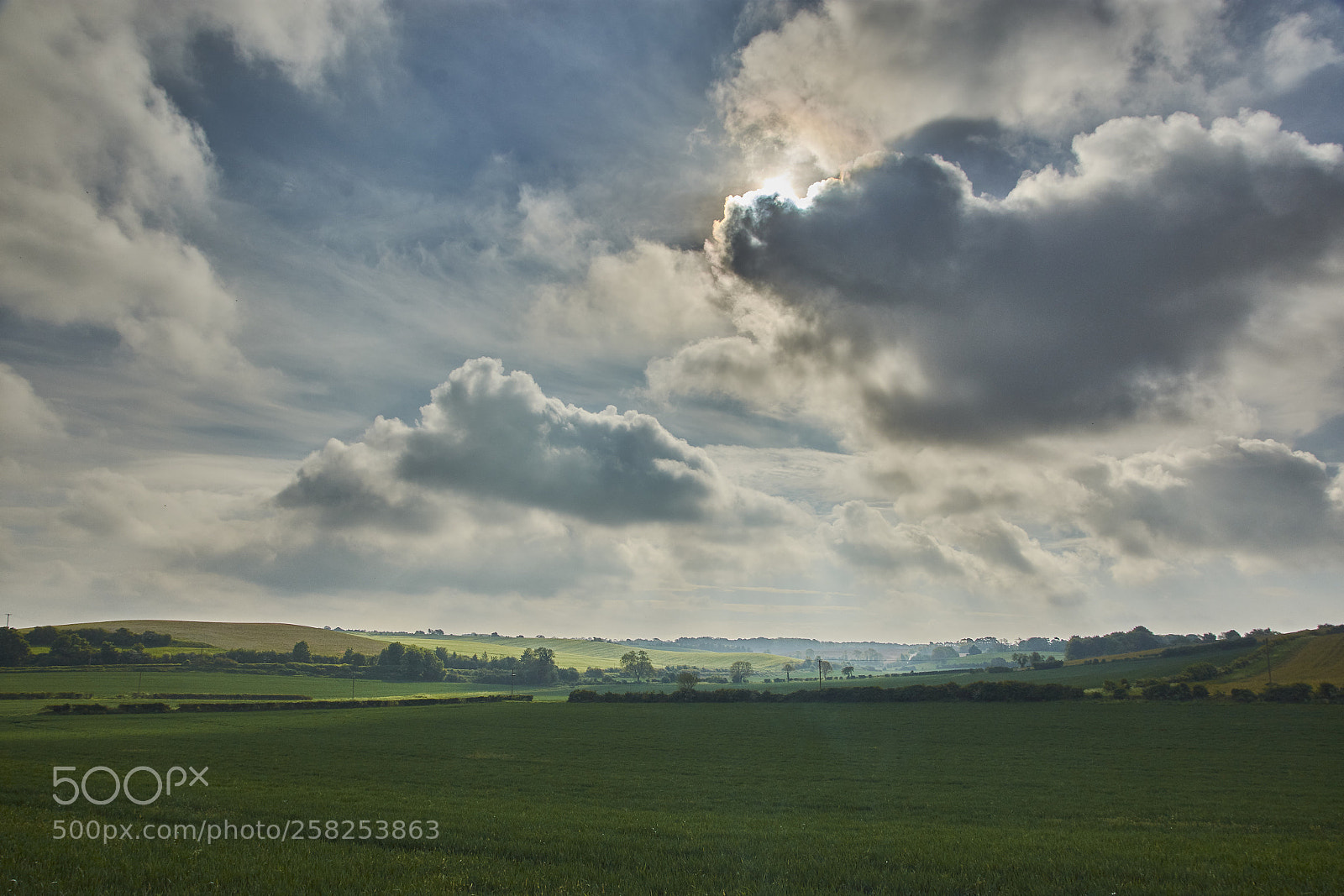 Nikon D7200 sample photo. Spring morning photography
