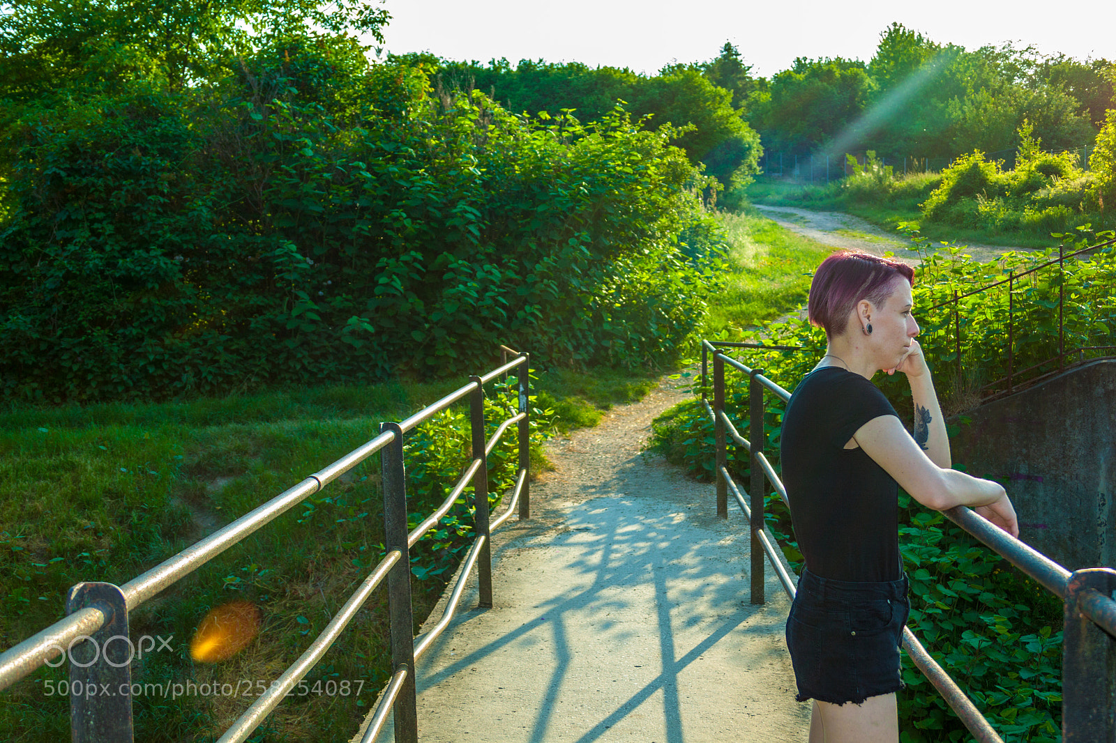 Canon EOS 50D sample photo. Img photography