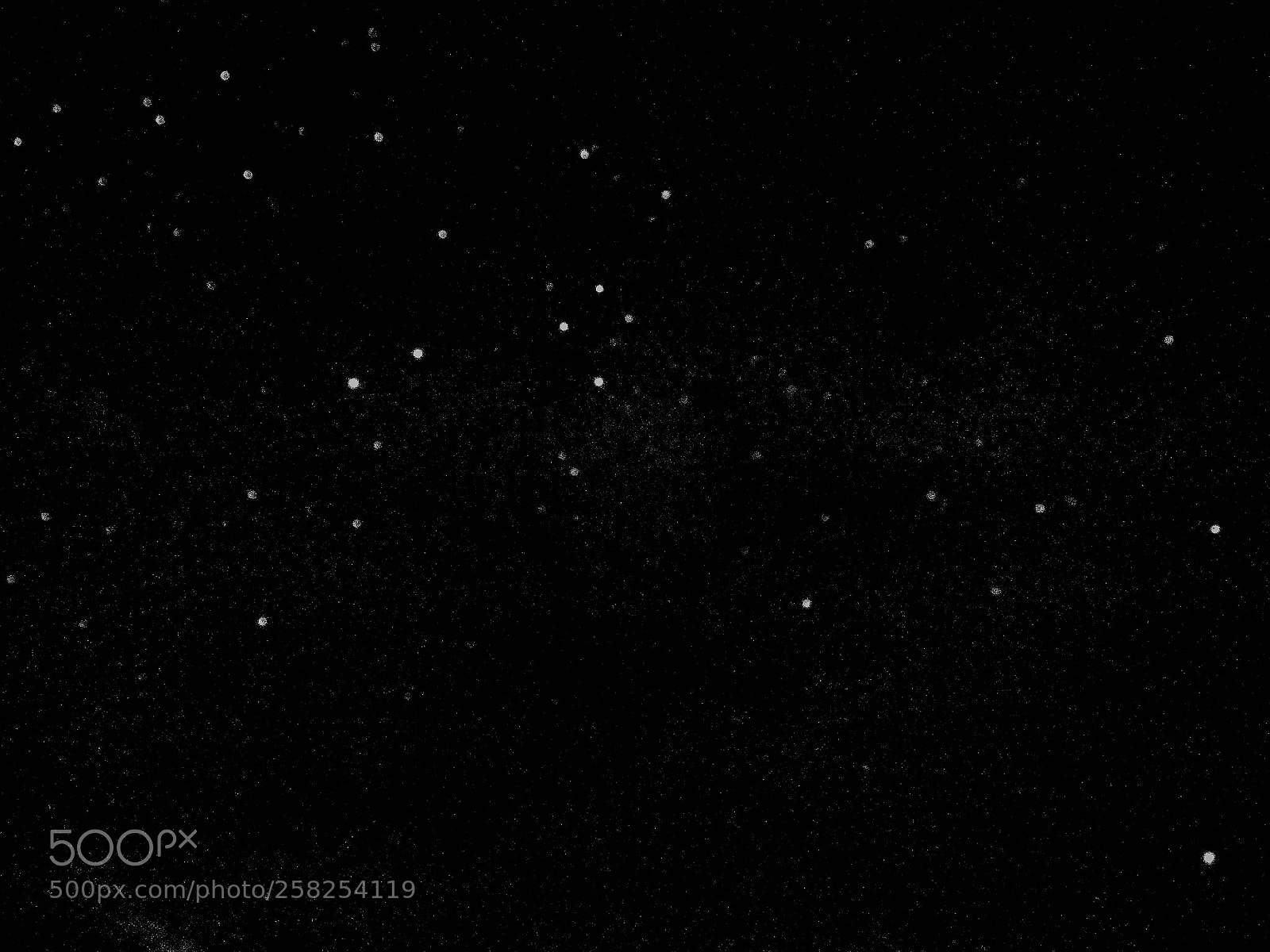 Olympus OM-D E-M1 sample photo. Sky at night photography