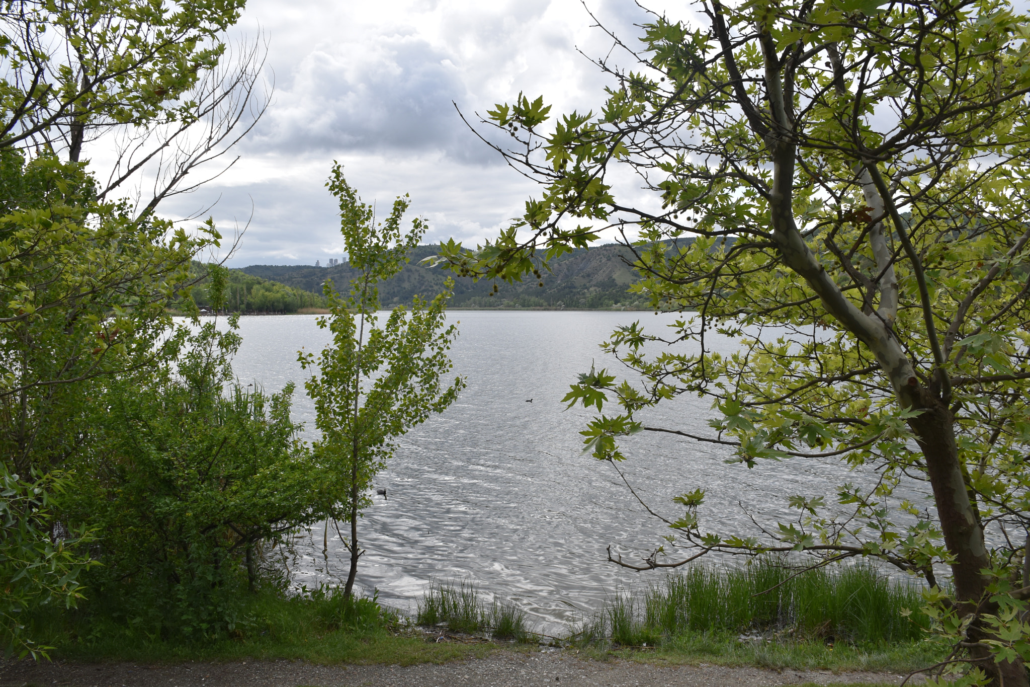 Nikon D5600 sample photo. 11 photography