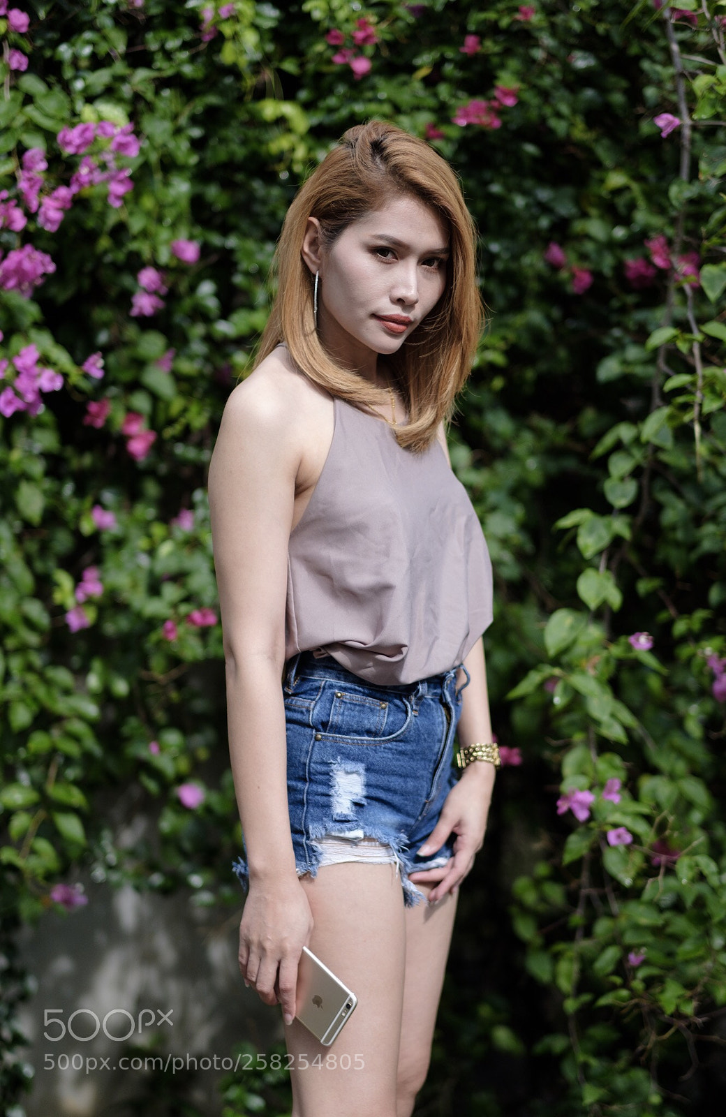 Fujifilm X-T2 sample photo. Pro neg hi  photography