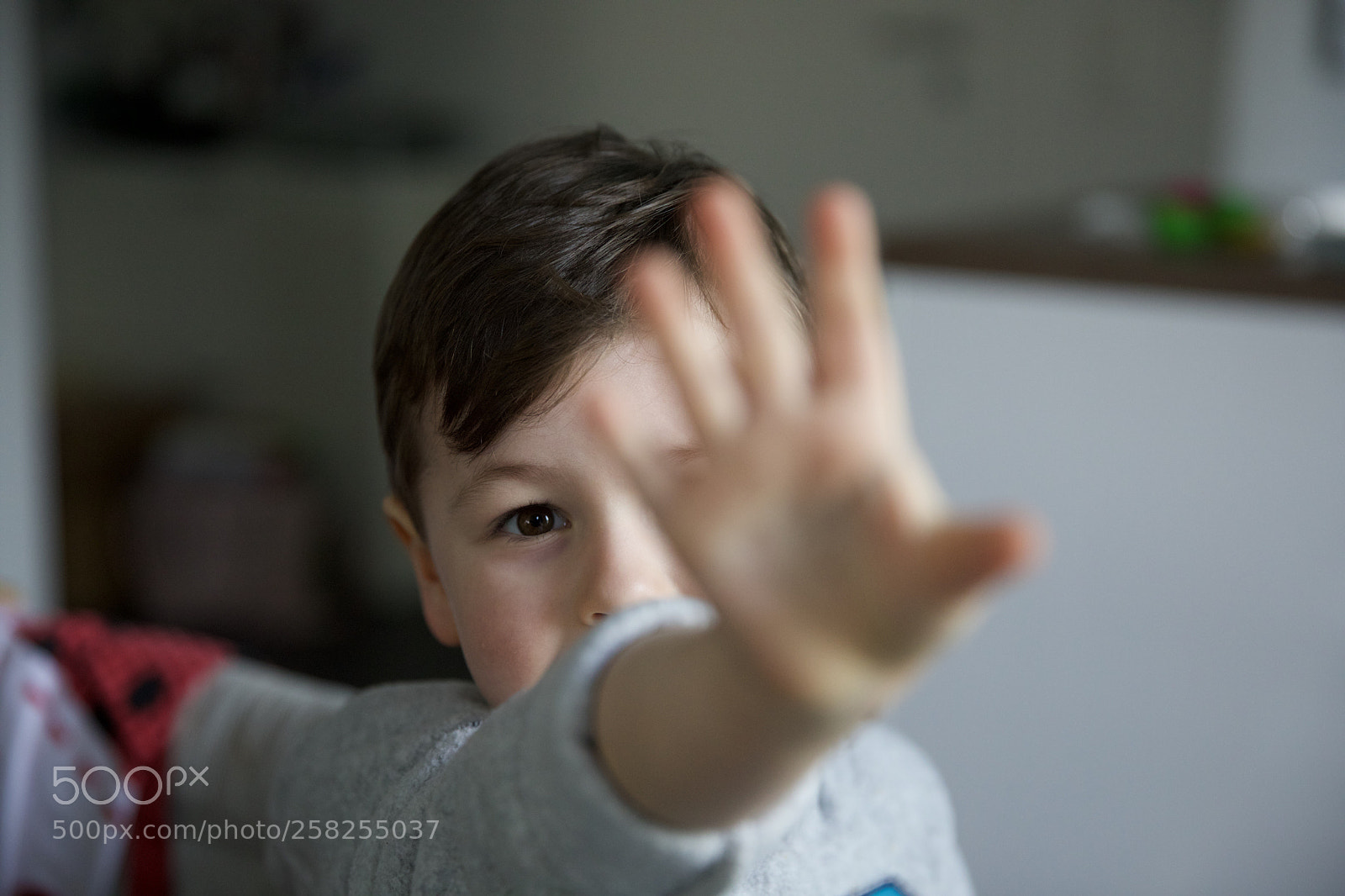 Canon EOS 5D Mark IV sample photo. Stop! photography