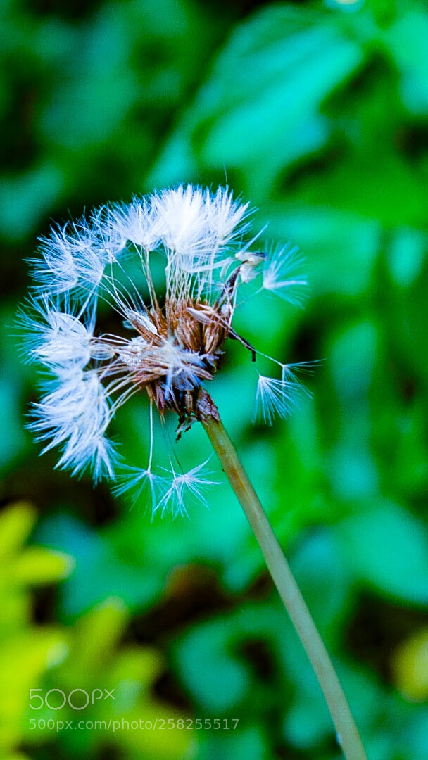 Nikon D5300 sample photo. Untitled photography