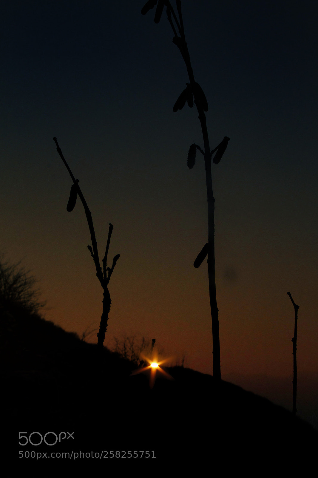 Canon EOS 7D sample photo. Untitled photography