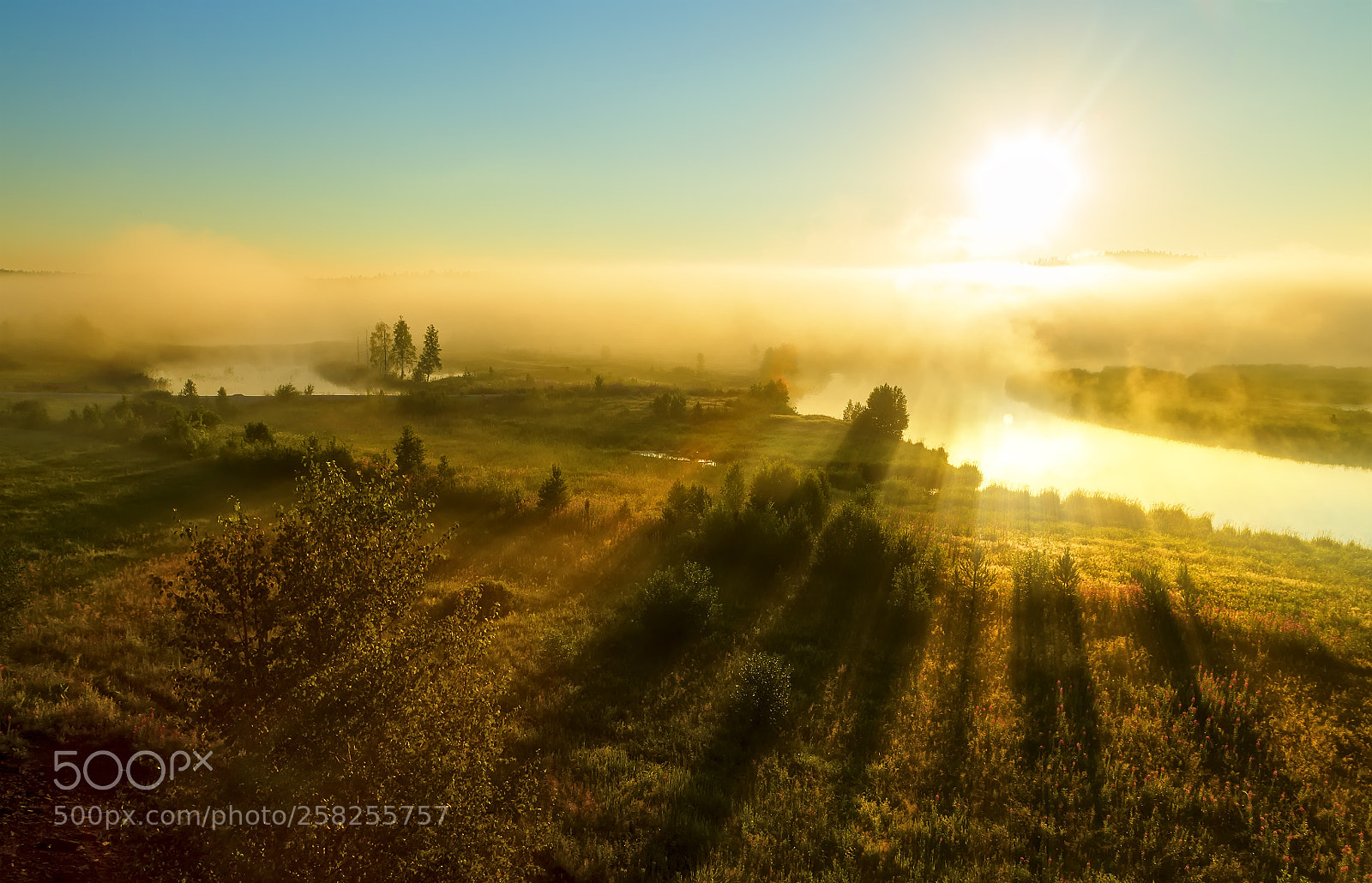 Canon EOS 6D sample photo. Beautiful sunrise flight sun photography