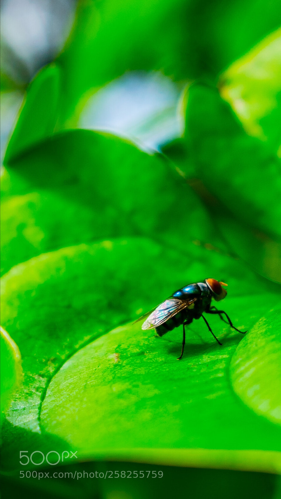 Nikon D5300 sample photo. Untitled photography