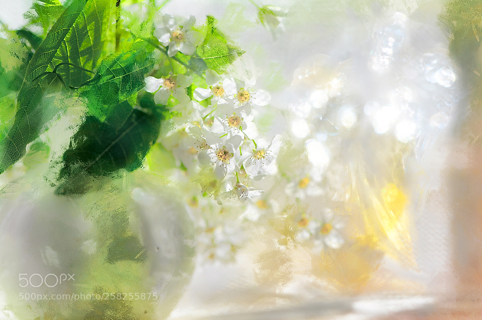 Nikon D90 sample photo. A sunny morning with photography