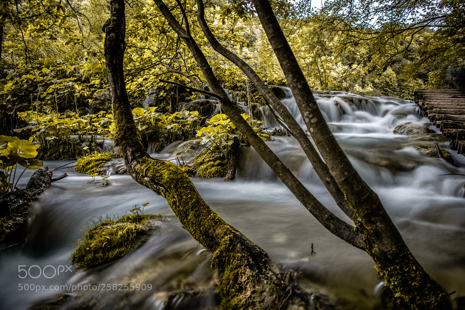 Nikon D3300 sample photo. Plitvice lakes photography