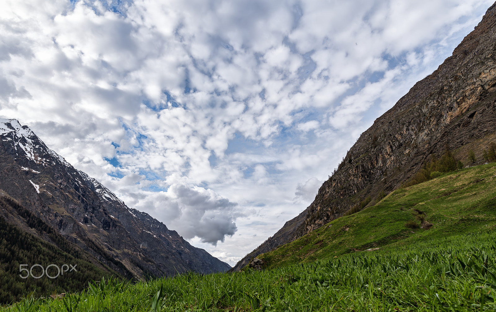 Nikon D750 + Nikon AF-S Nikkor 20mm F1.8G ED sample photo. Valsavarenche photography