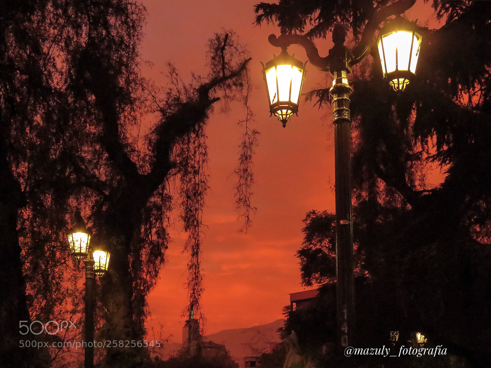 Canon PowerShot SX60 HS sample photo. Atardecer de fuego.. photography