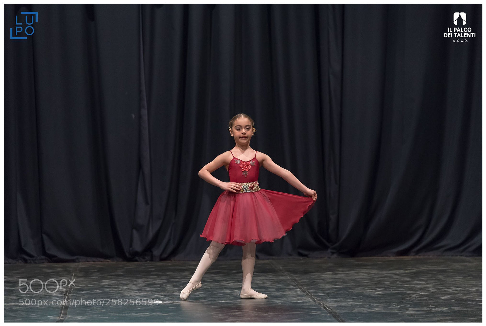 Nikon D850 sample photo. Untitled photography
