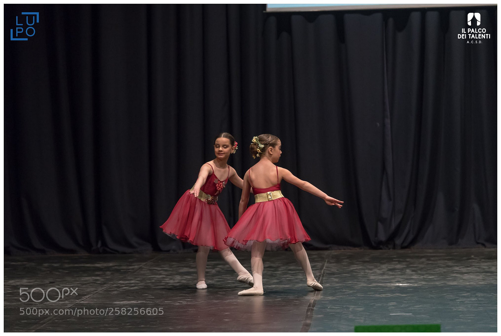 Nikon D850 sample photo. Classica gruppo baby photography
