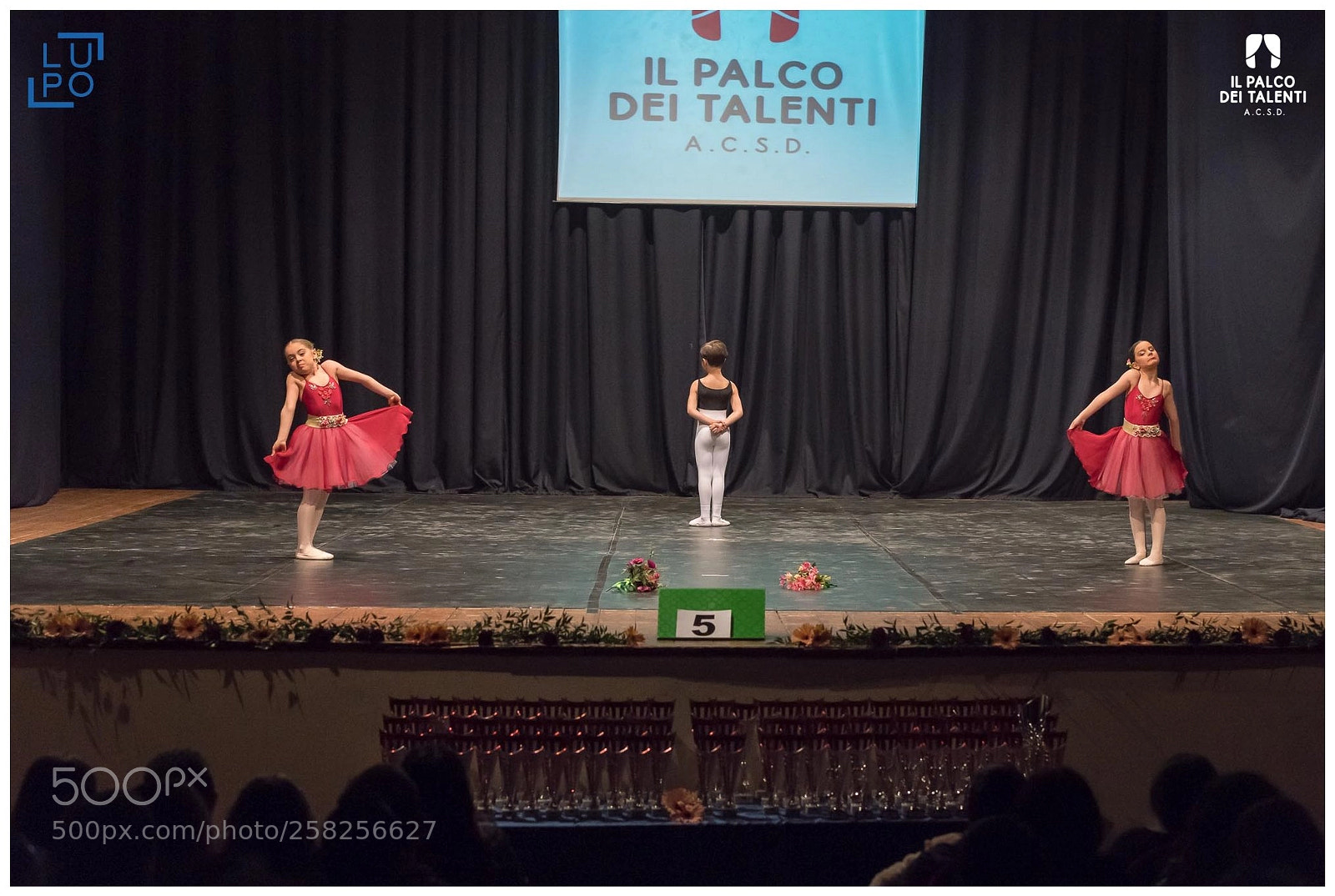 Nikon D850 sample photo. Classica gruppo baby photography