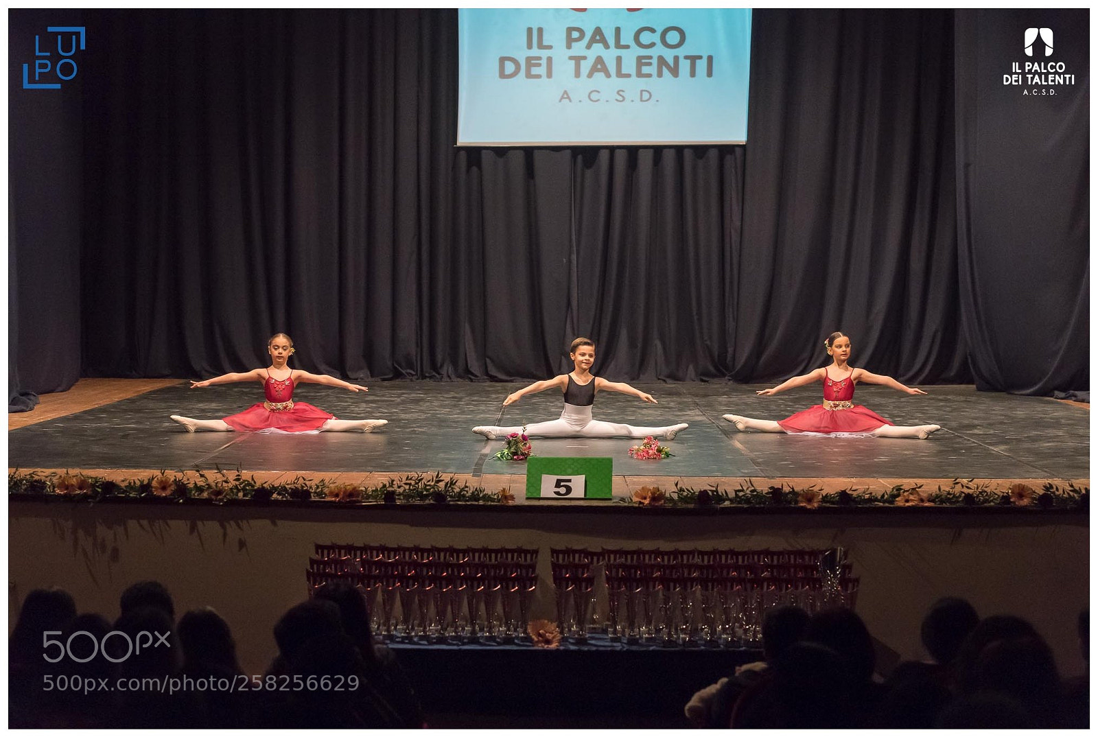 Nikon D850 sample photo. Classica gruppo baby photography