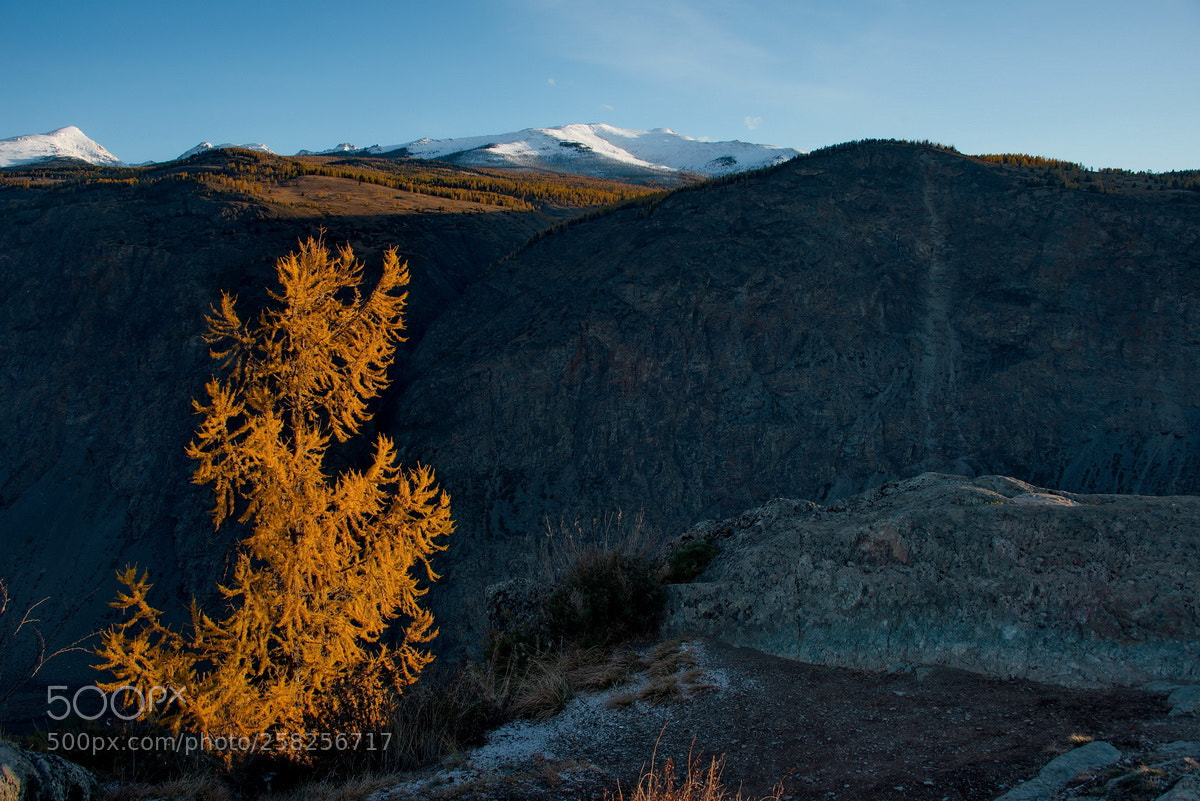 Nikon D750 sample photo. Russia. the beauty of photography