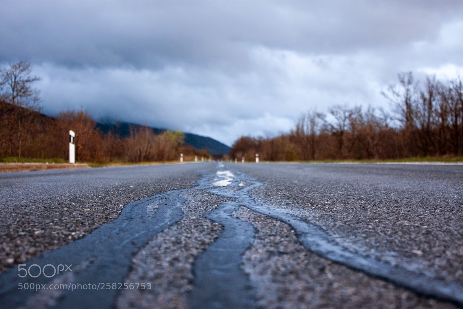 Canon EOS 500D (EOS Rebel T1i / EOS Kiss X3) sample photo. Lonely road photography