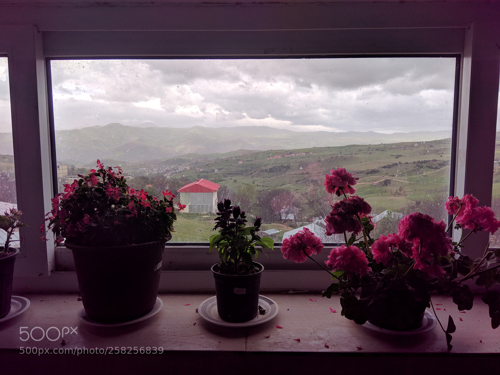Xiaomi Redmi Note 4 sample photo. Untitled photography